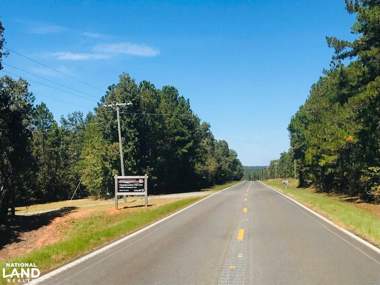 Buena Vista, Marion County, GA Recreational Property, Hunting Property