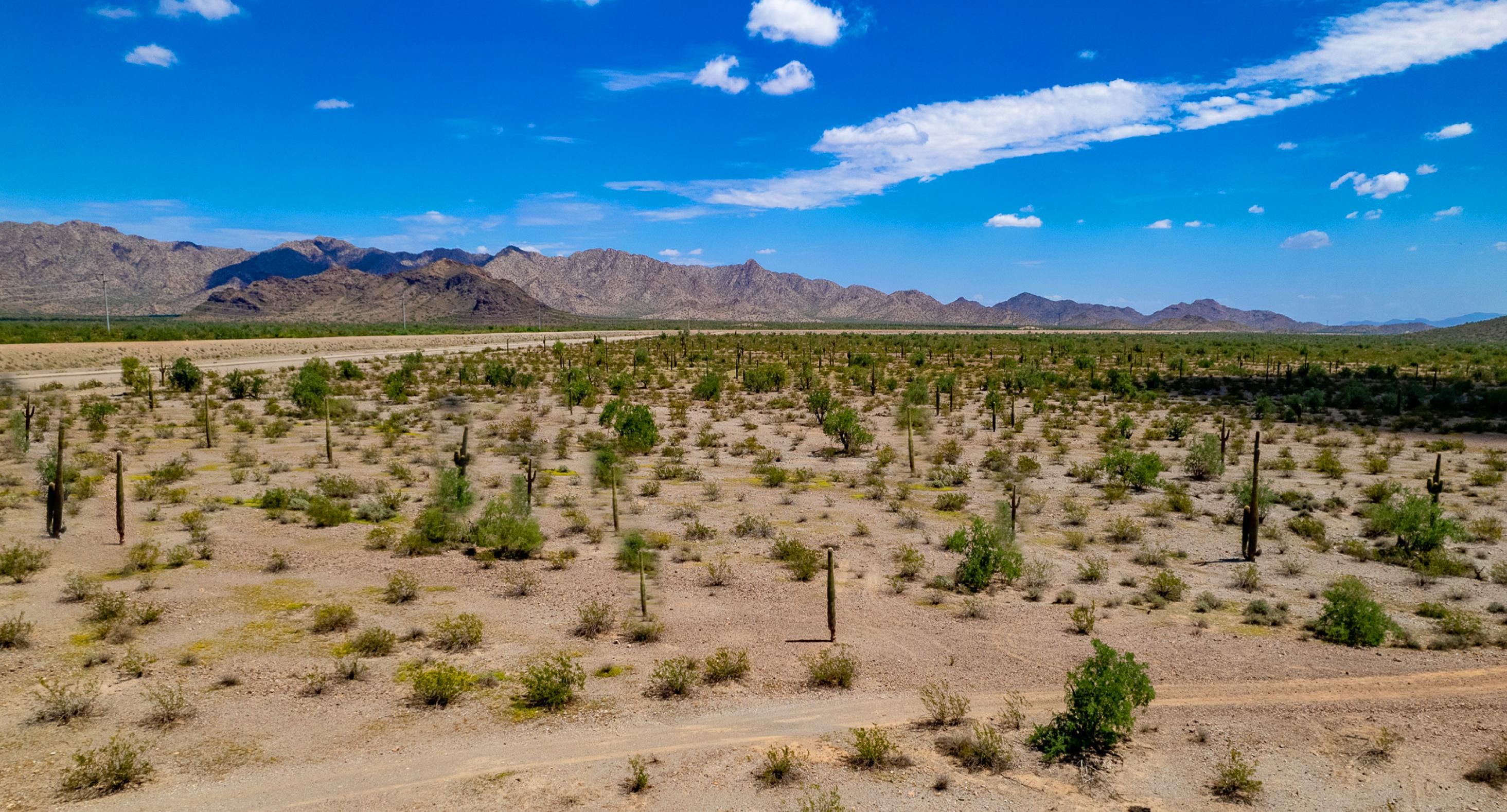 Tonopah, Maricopa County, AZ Farms and Ranches, Undeveloped Land for