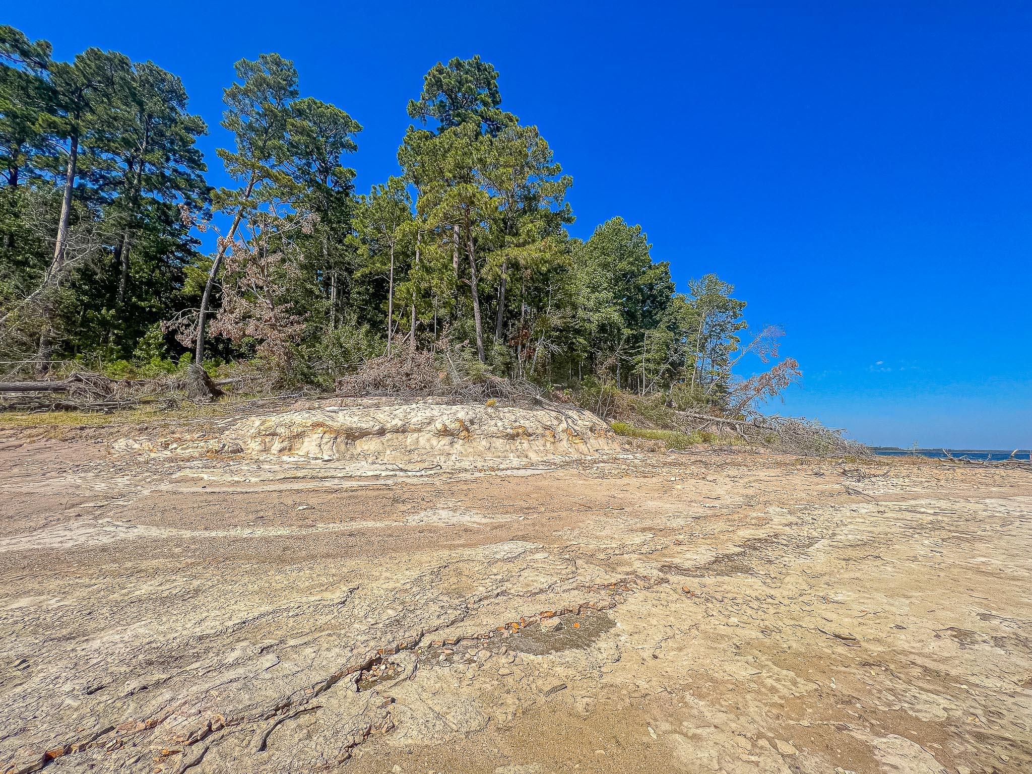 Broaddus, San Augustine County, TX Recreational Property, Undeveloped