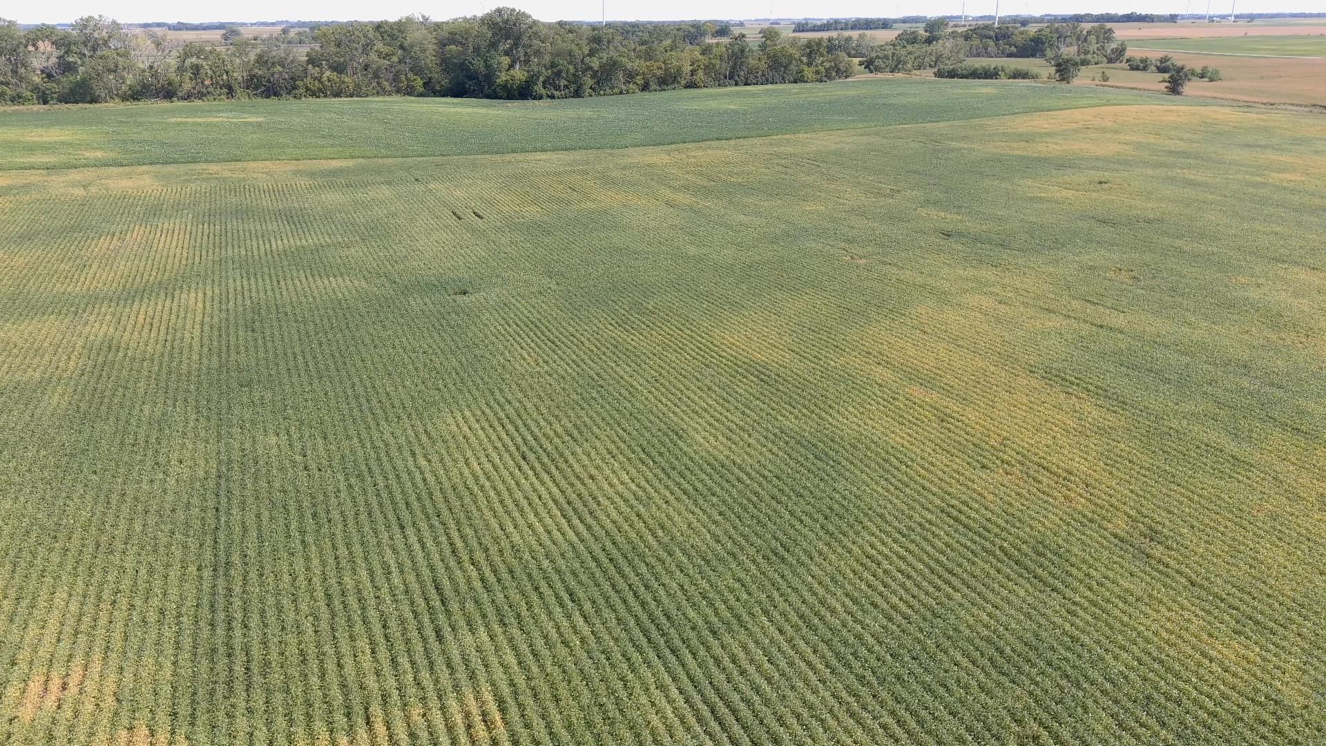 Granite Falls, Chippewa County, MN Farms and Ranches for auction