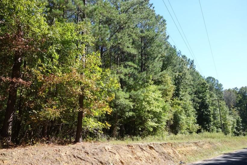 Grover Wilson Road, Blythewood, SC 29130 MLS Lot 6 2.26 AC ML