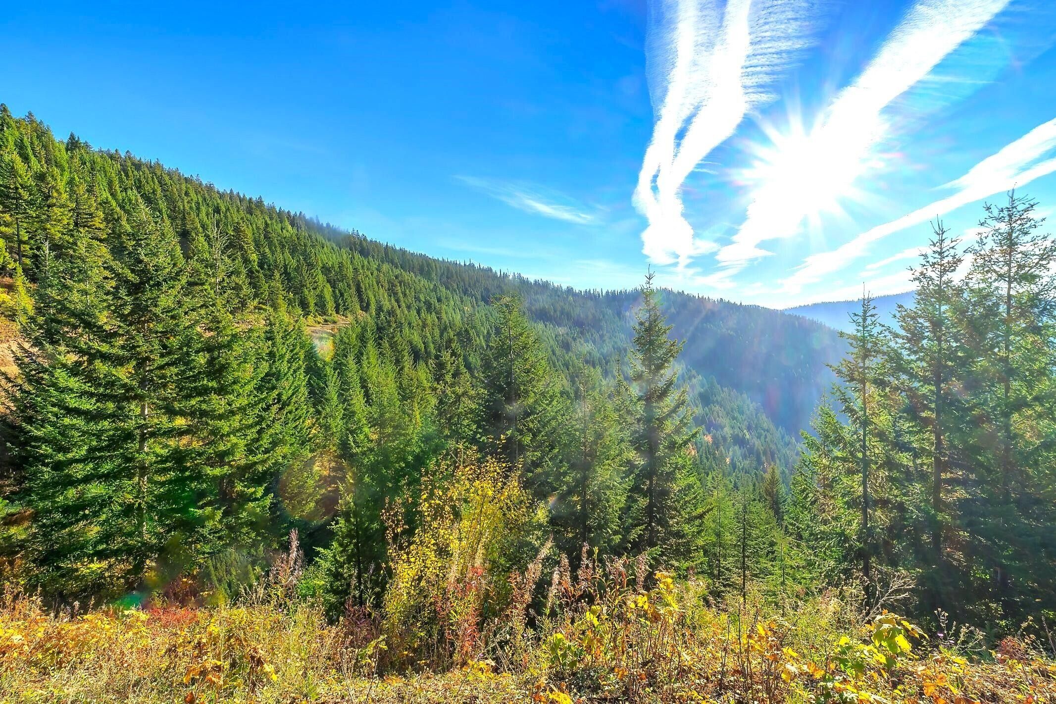 Superior, Mineral County, MT Undeveloped Land for sale Property ID