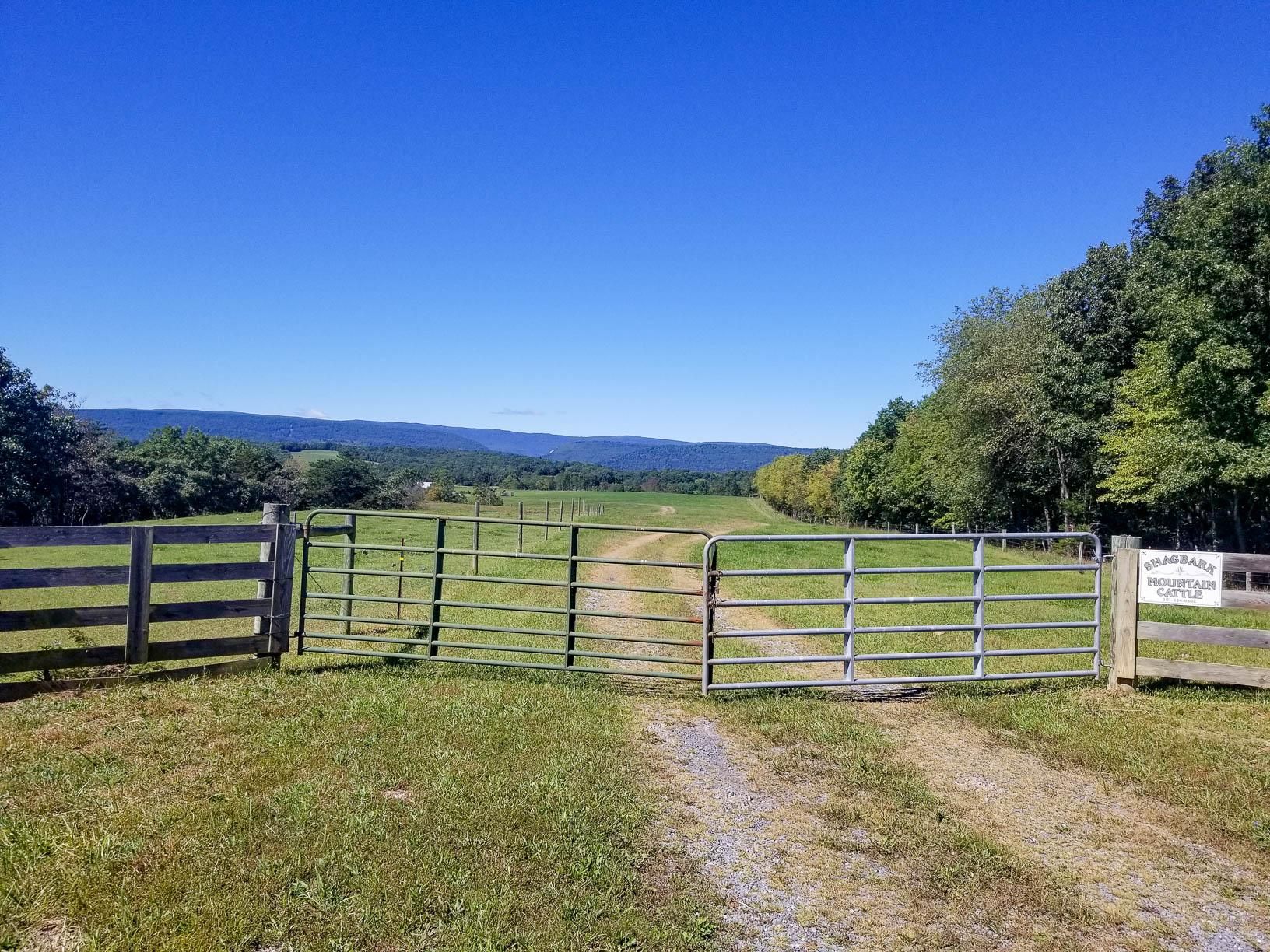 584 Hott Hill Road, Maysville, WV 26833 MLS WVGT2000376 LandWatch