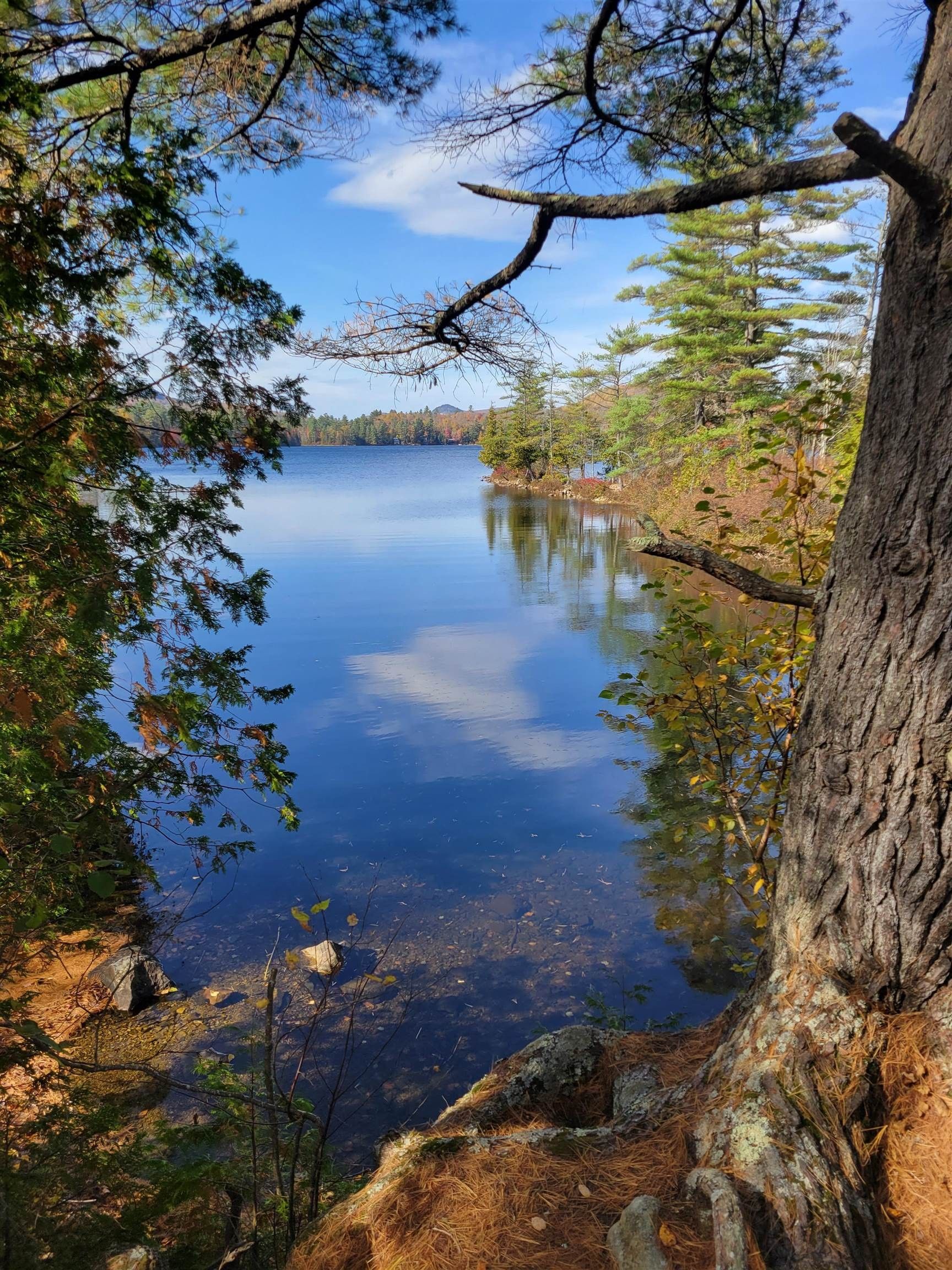 Groton, Caledonia County, VT Lakefront Property, Waterfront Property, House for sale Property ID