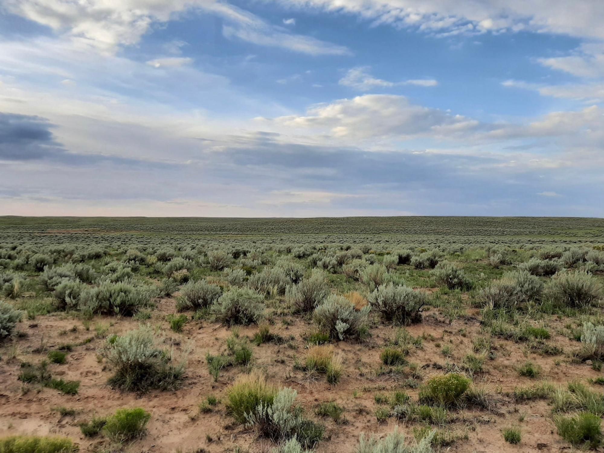 Chambers, Apache County, AZ Recreational Property, Undeveloped Land