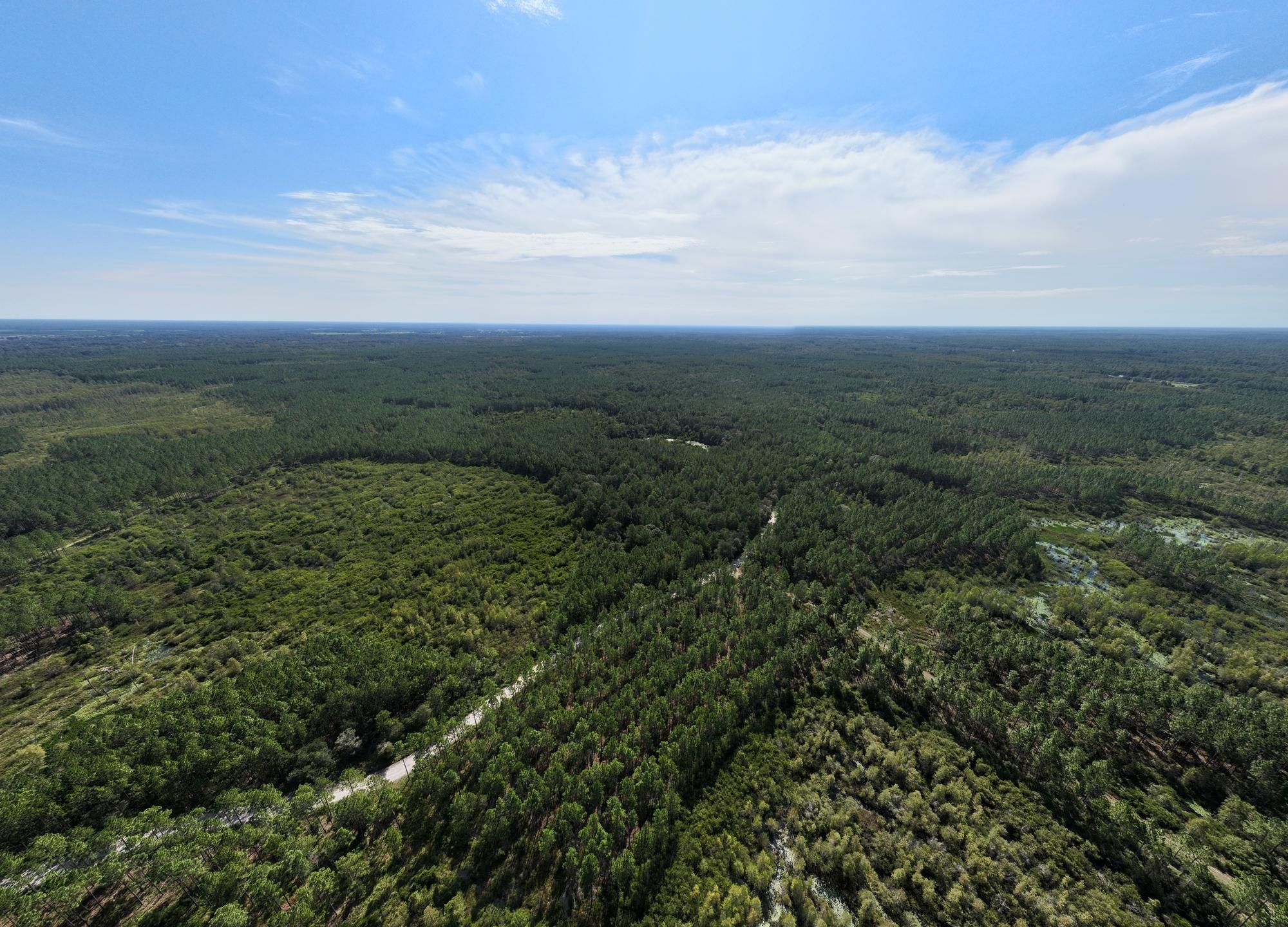 SE Parker Rd., Mayo, FL 32066 LandWatch