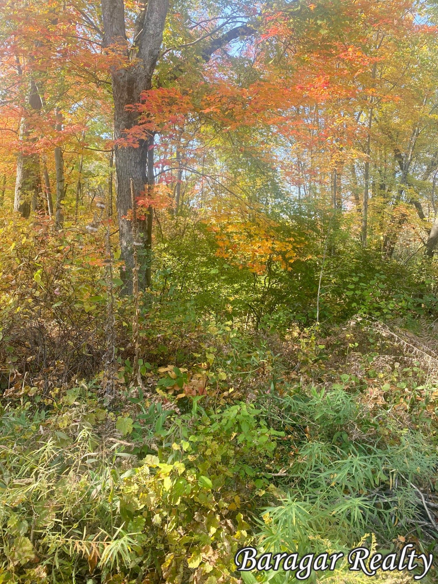 Bitely, Newaygo County, MI Homesites for sale Property ID 415048780