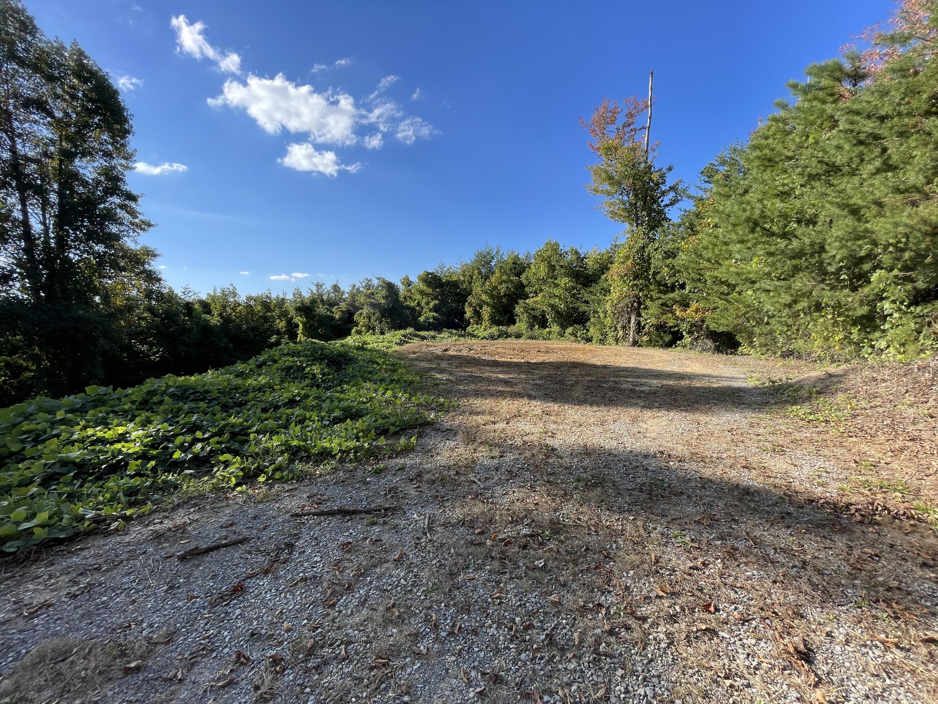 Hartford, Cocke County, TN Undeveloped Land for sale Property ID