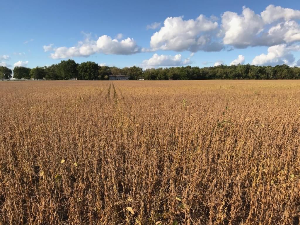 Garden Prairie Rd, Garden Prairie, IL 61038 MLS 11965536 LandWatch