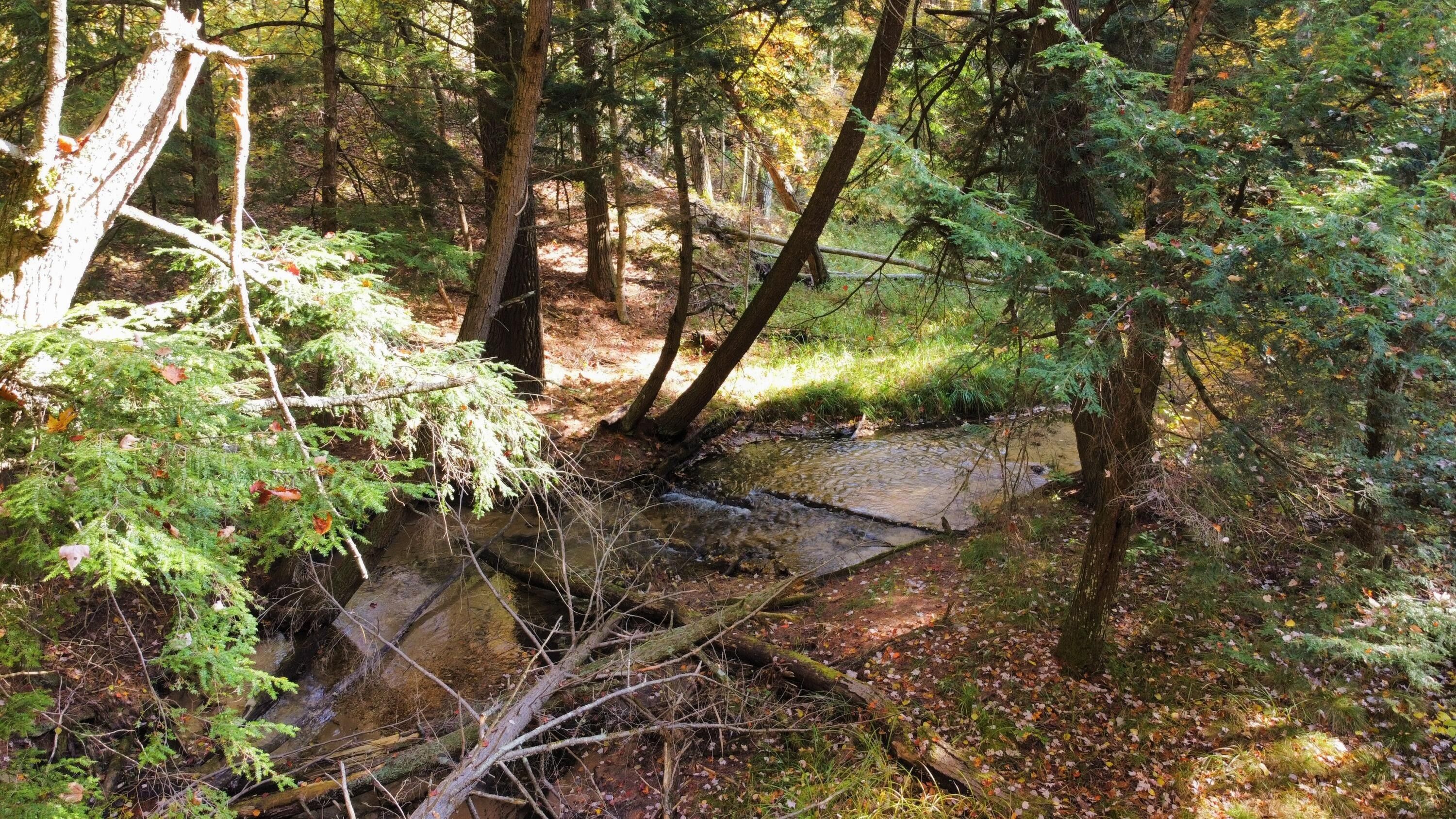 Harrietta, Manistee County, MI Undeveloped Land, Lakefront Property