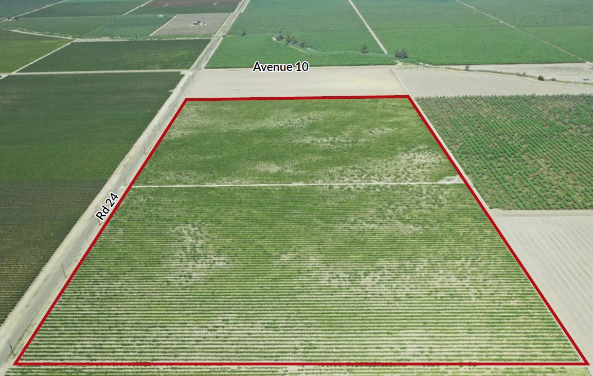 Madera, Madera County, CA Farms and Ranches for sale Property ID