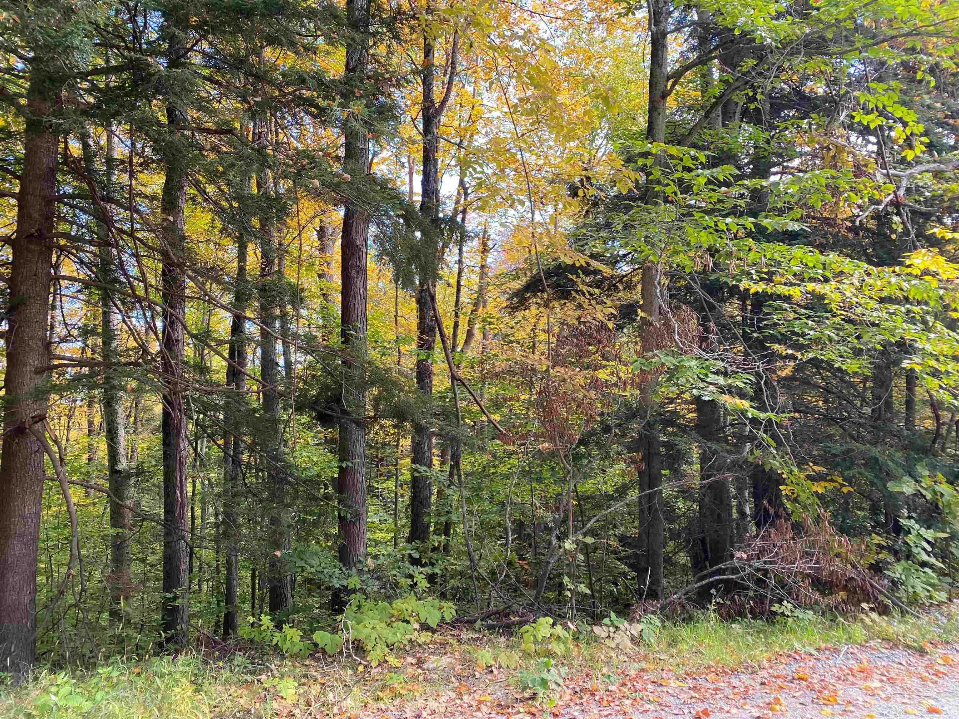 Weathersfield, Windsor County, VT Undeveloped Land, Homesites for sale