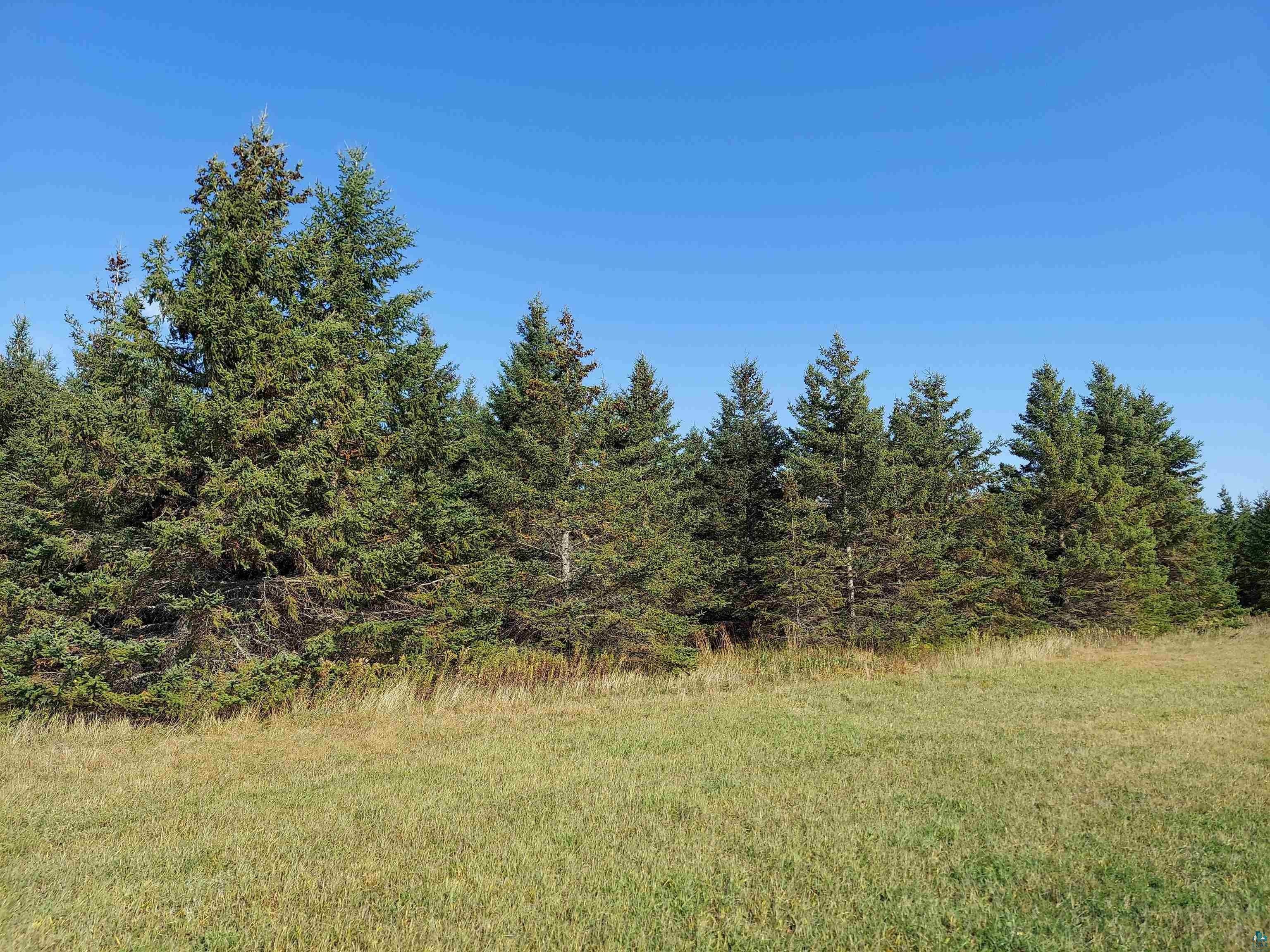 Mason, Bayfield County, WI Undeveloped Land for sale Property ID 415051511 LandWatch