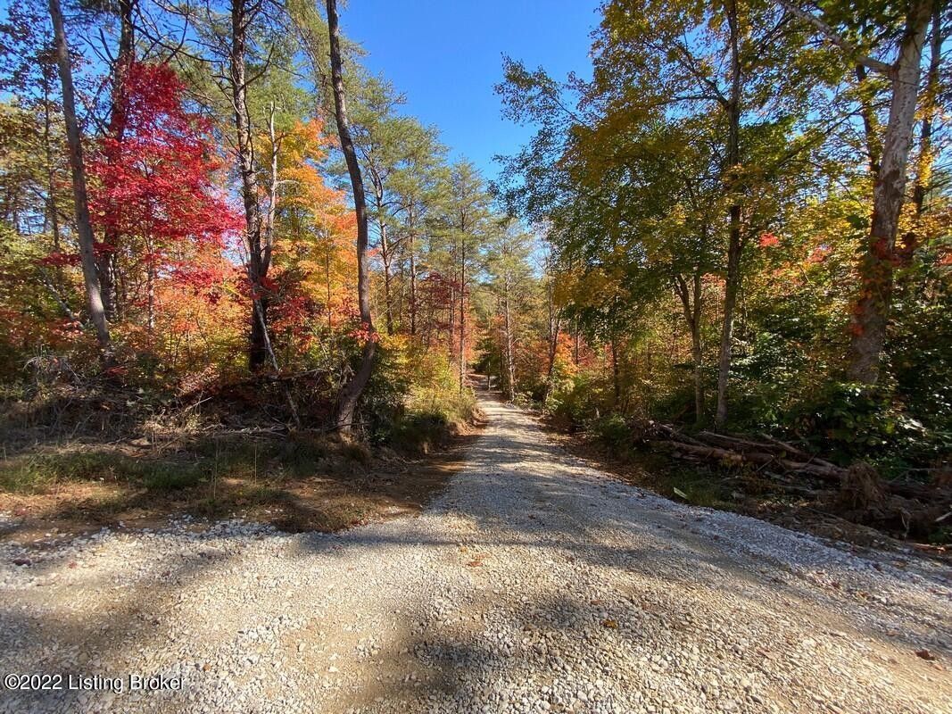 Clarkson, Grayson County, KY Undeveloped Land for sale Property ID
