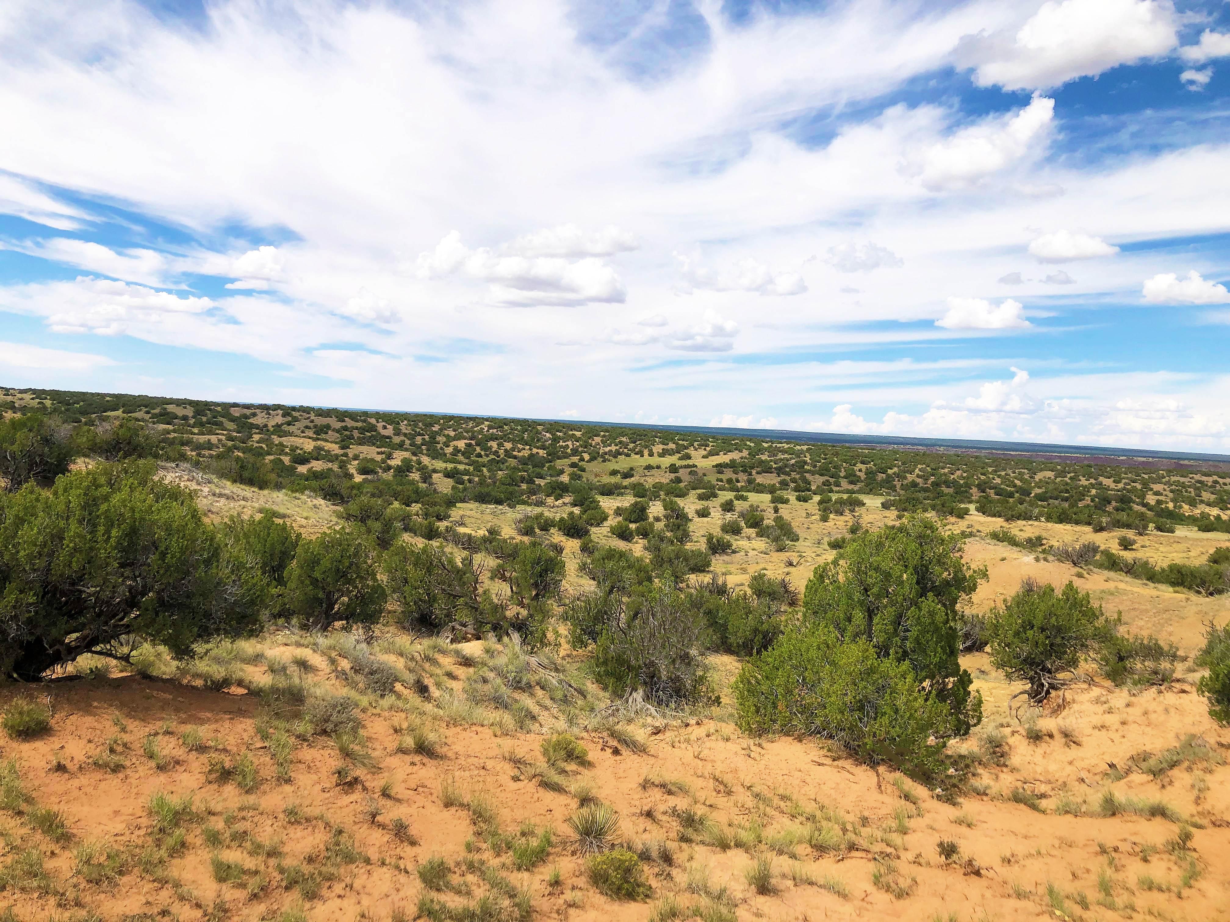 Saint Johns, Apache County, AZ Farms and Ranches, Recreational Property