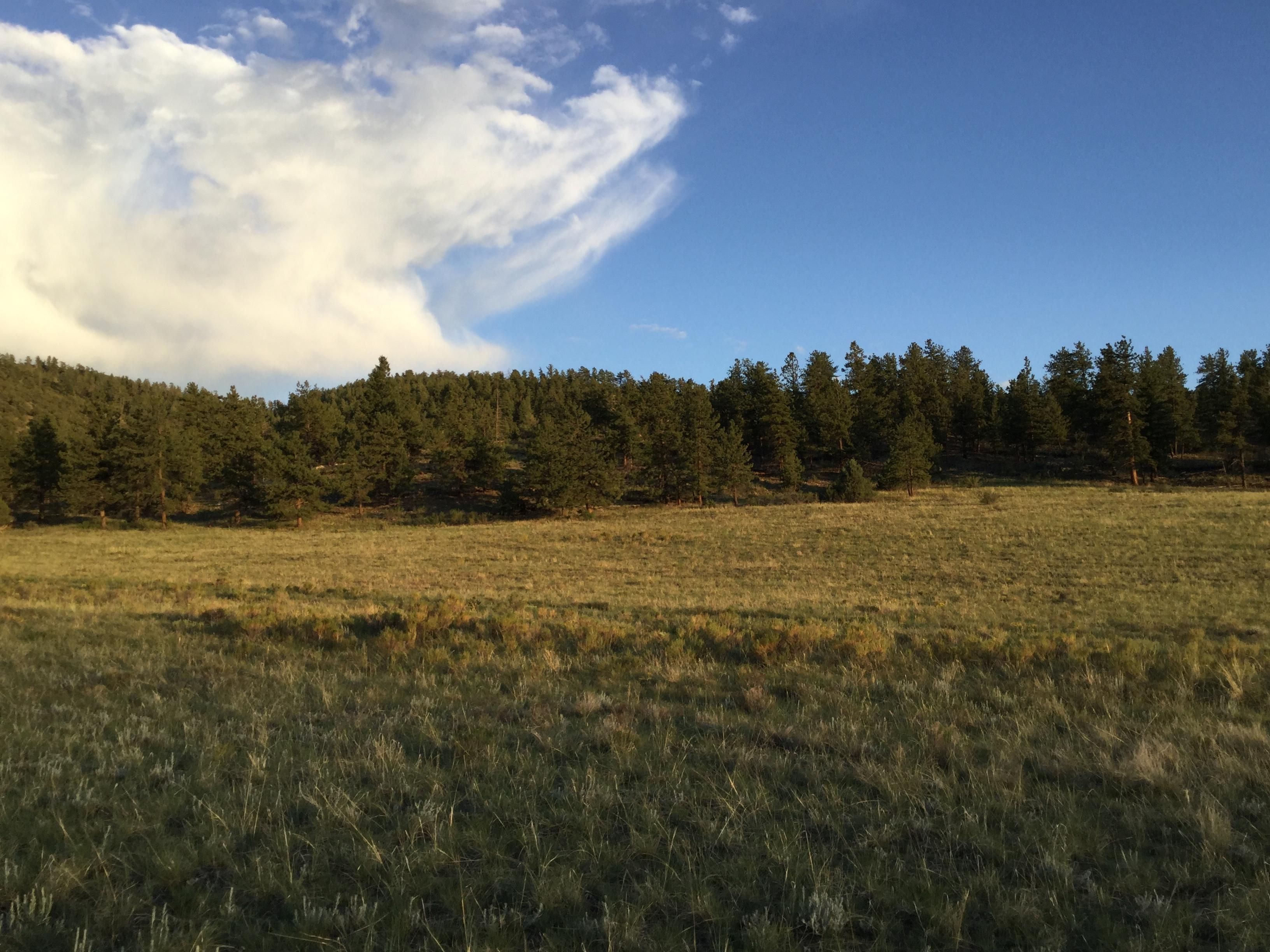 Salida, Chaffee County, CO Recreational Property, Undeveloped Land for