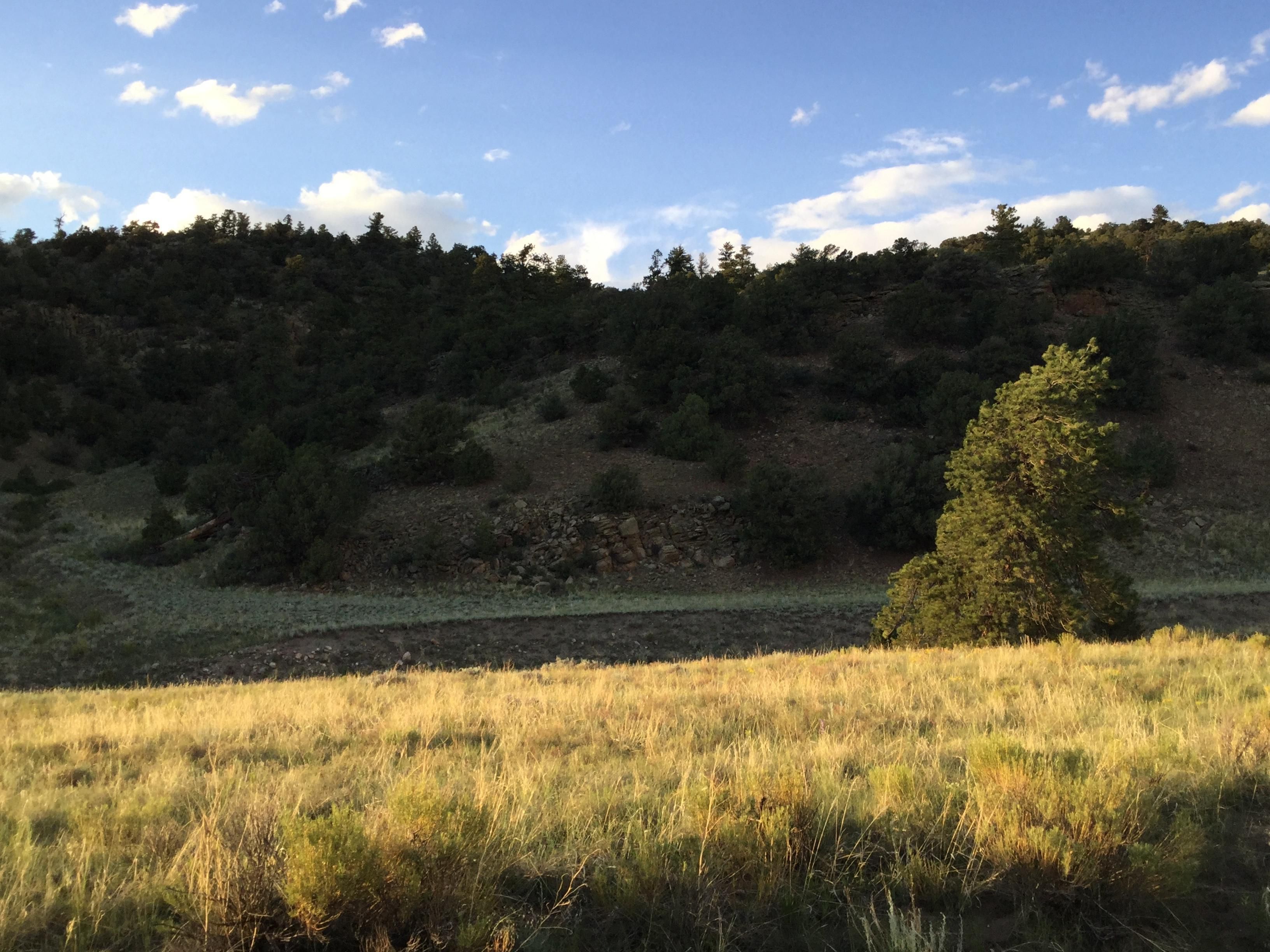 Salida, Chaffee County, CO Recreational Property, Undeveloped Land for