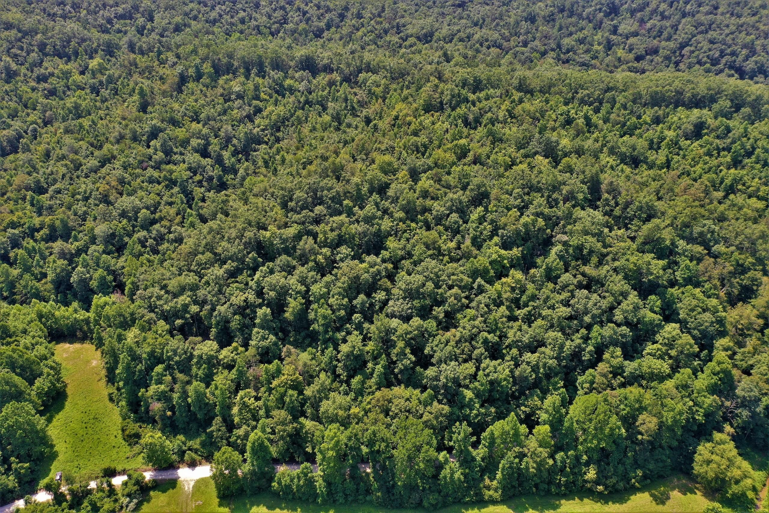 860 Adams Fork Rd, bville, KY 41180 LandWatch