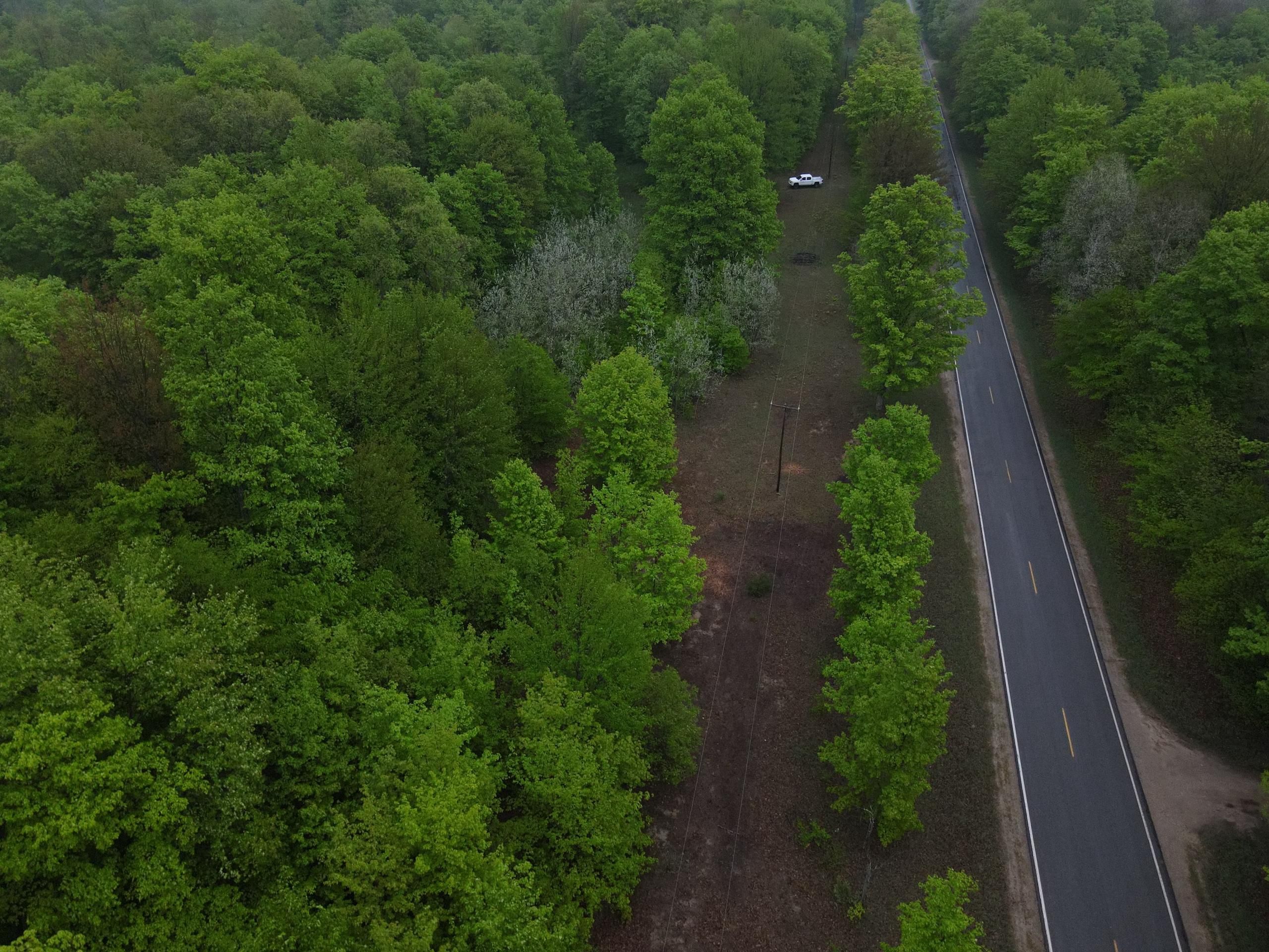 Bear Lake, Manistee County, MI Recreational Property, Timberland