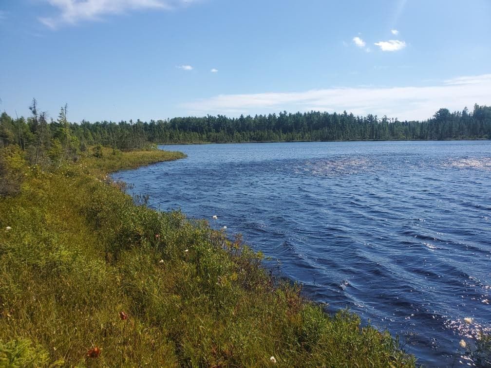 Rudyard, Chippewa County, MI Undeveloped Land for sale Property ID