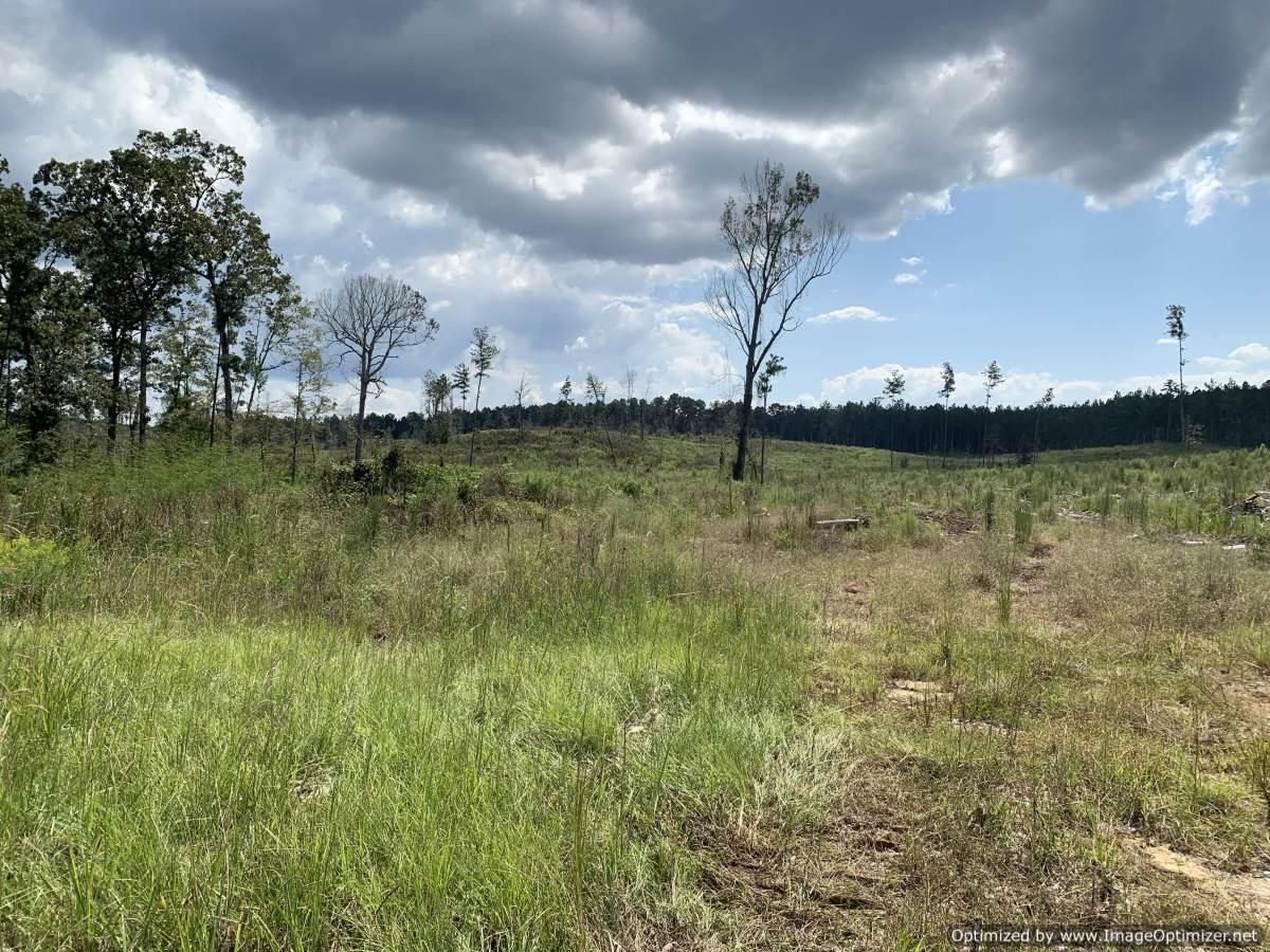 Braxton, Simpson County, MS Recreational Property, Undeveloped Land