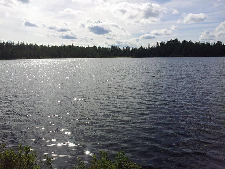 Clearwater Lake, Vilas County, WI Undeveloped Land, Lakefront Property