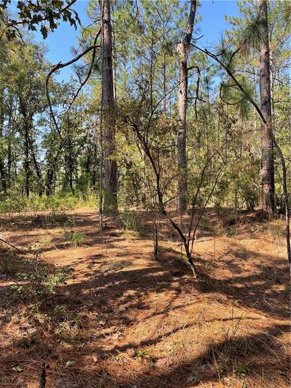 Deer Park, Washington County, AL Undeveloped Land for sale Property ID