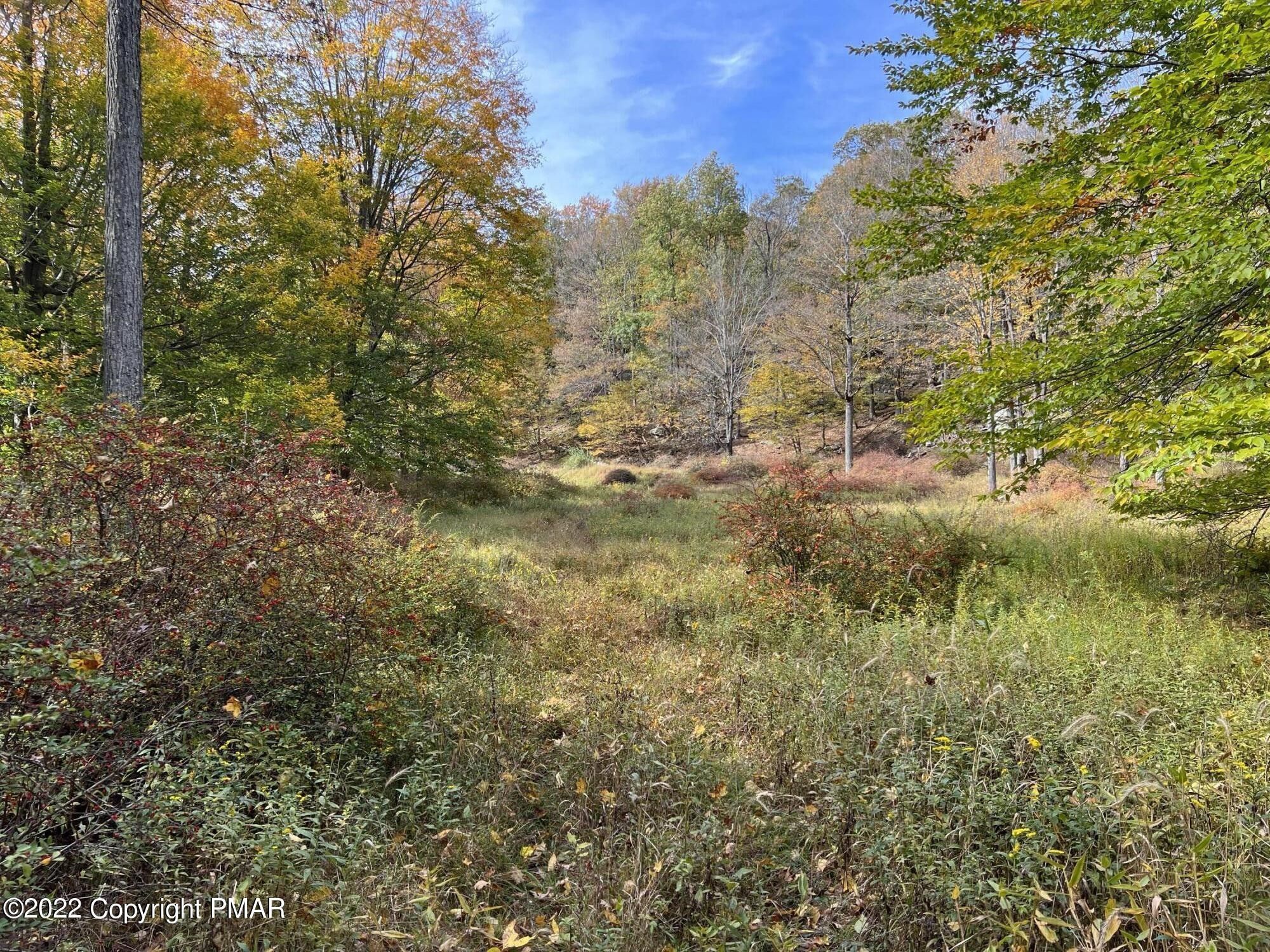 Canadensis, Monroe County, PA Undeveloped Land for sale Property ID