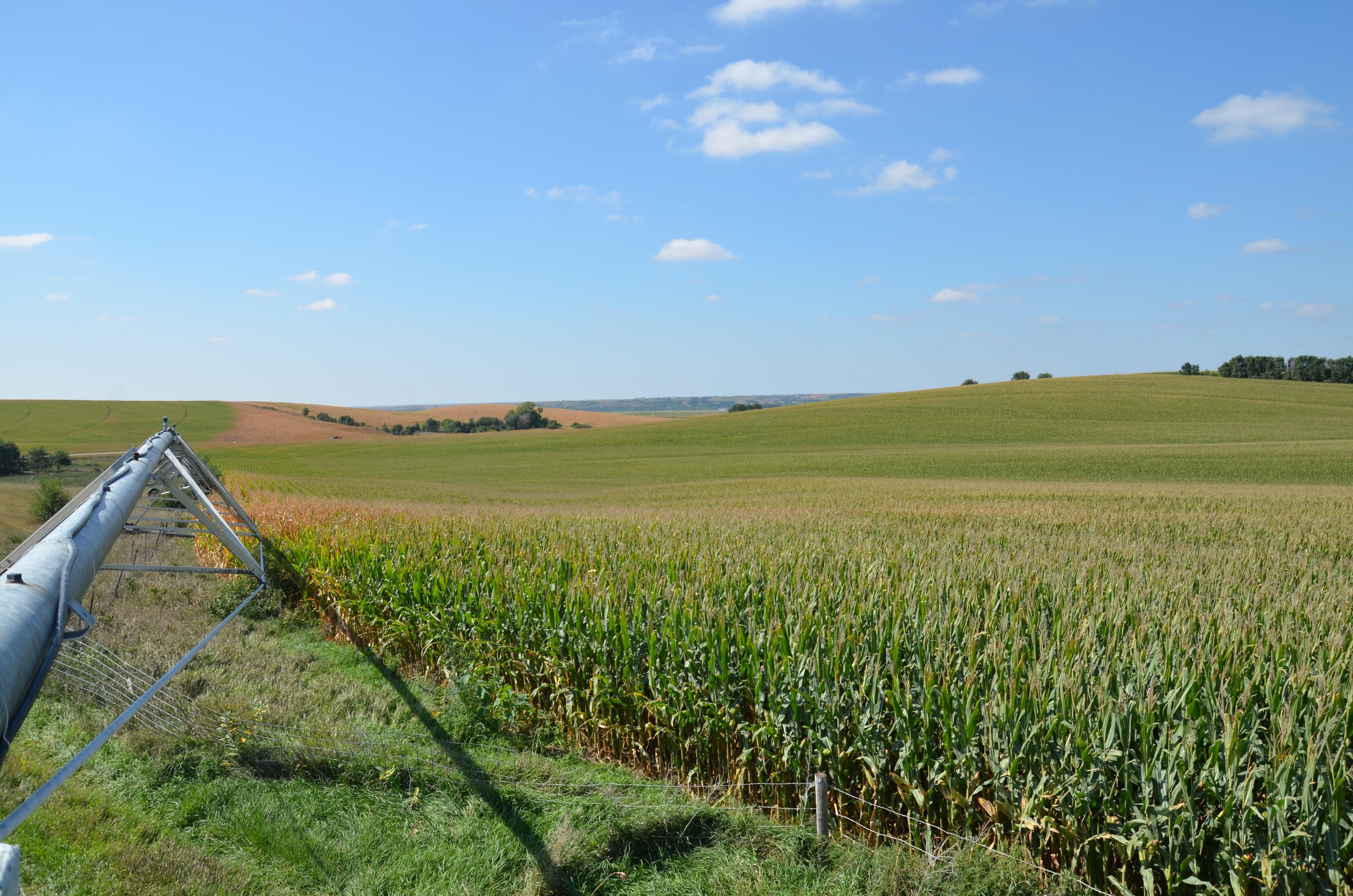 Scotia, Greeley County, NE Farms and Ranches, Recreational Property