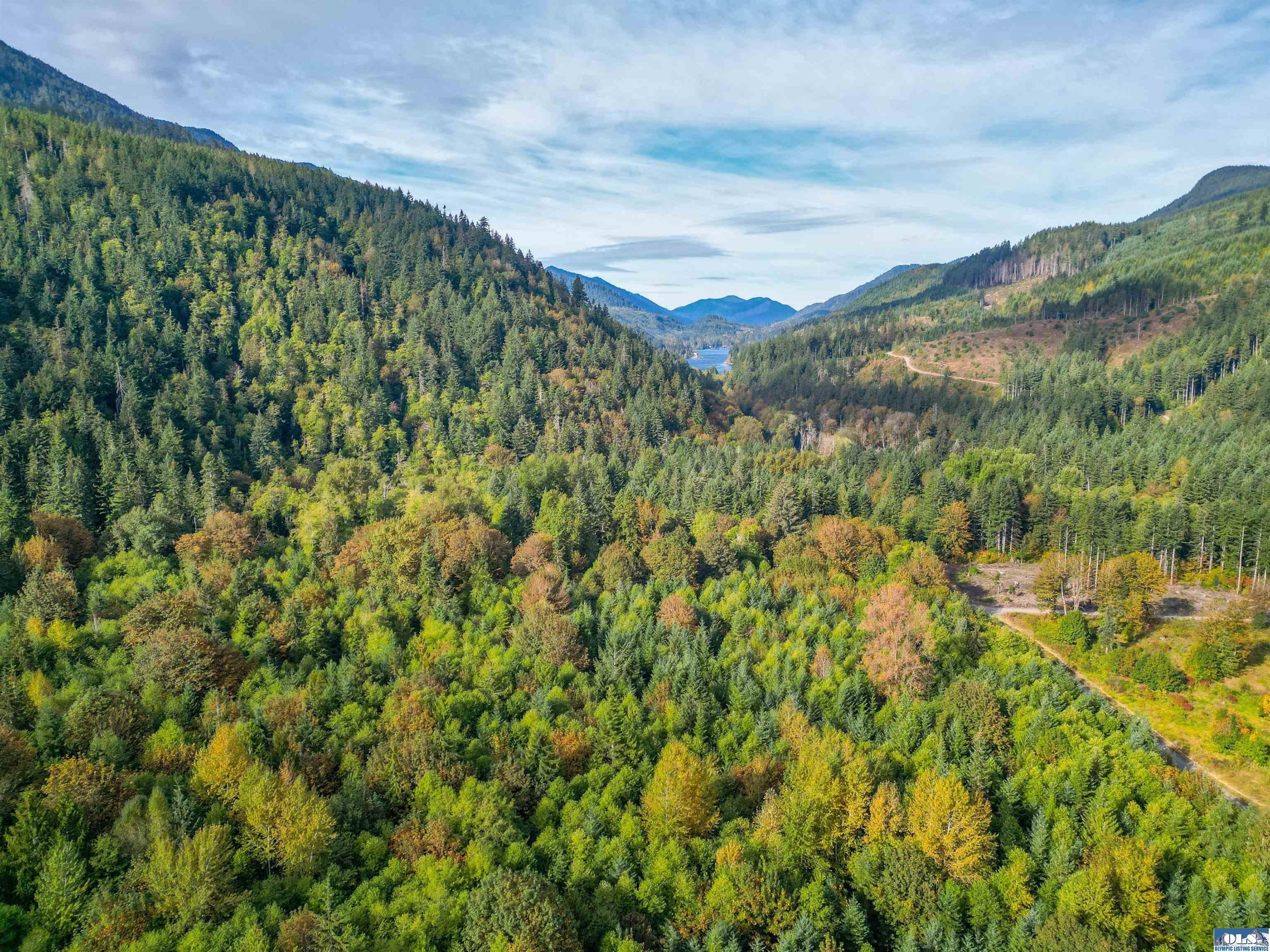 Port Angeles, Clallam County, WA Undeveloped Land for sale Property ID