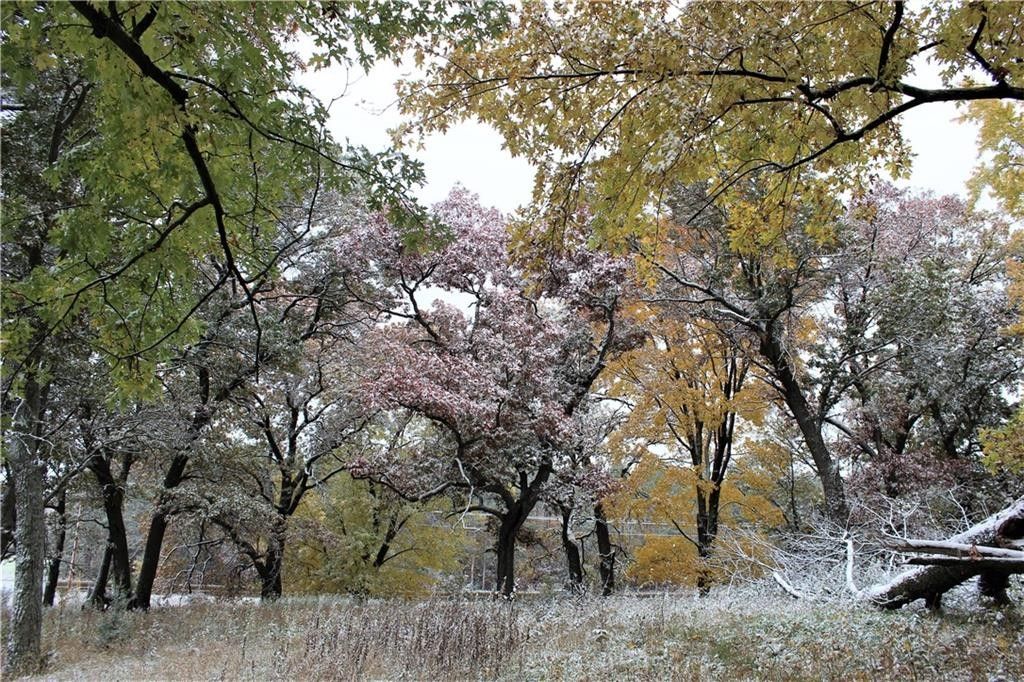 Mondovi, Eau Claire County, WI Undeveloped Land for sale Property ID