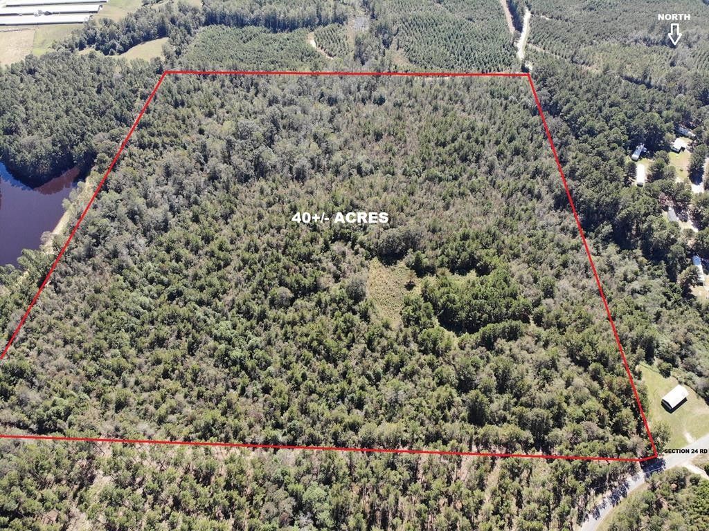 Shubuta, Wayne County, MS Undeveloped Land for sale Property ID