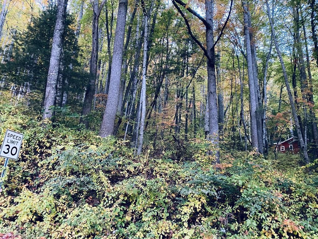 Cullowhee, Jackson County, NC Undeveloped Land for sale Property ID