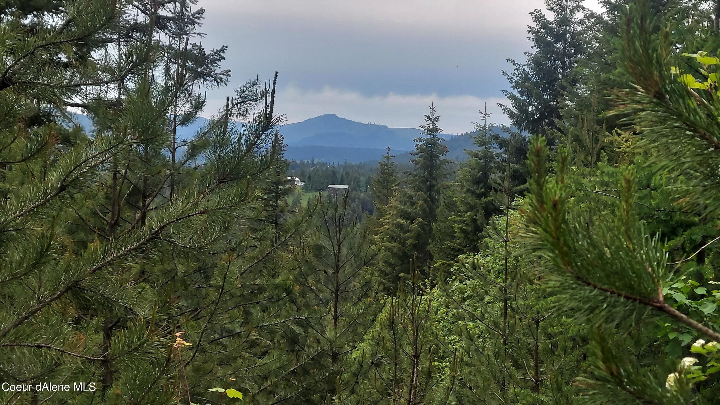 Fernwood, Benewah County, ID Undeveloped Land for sale Property ID