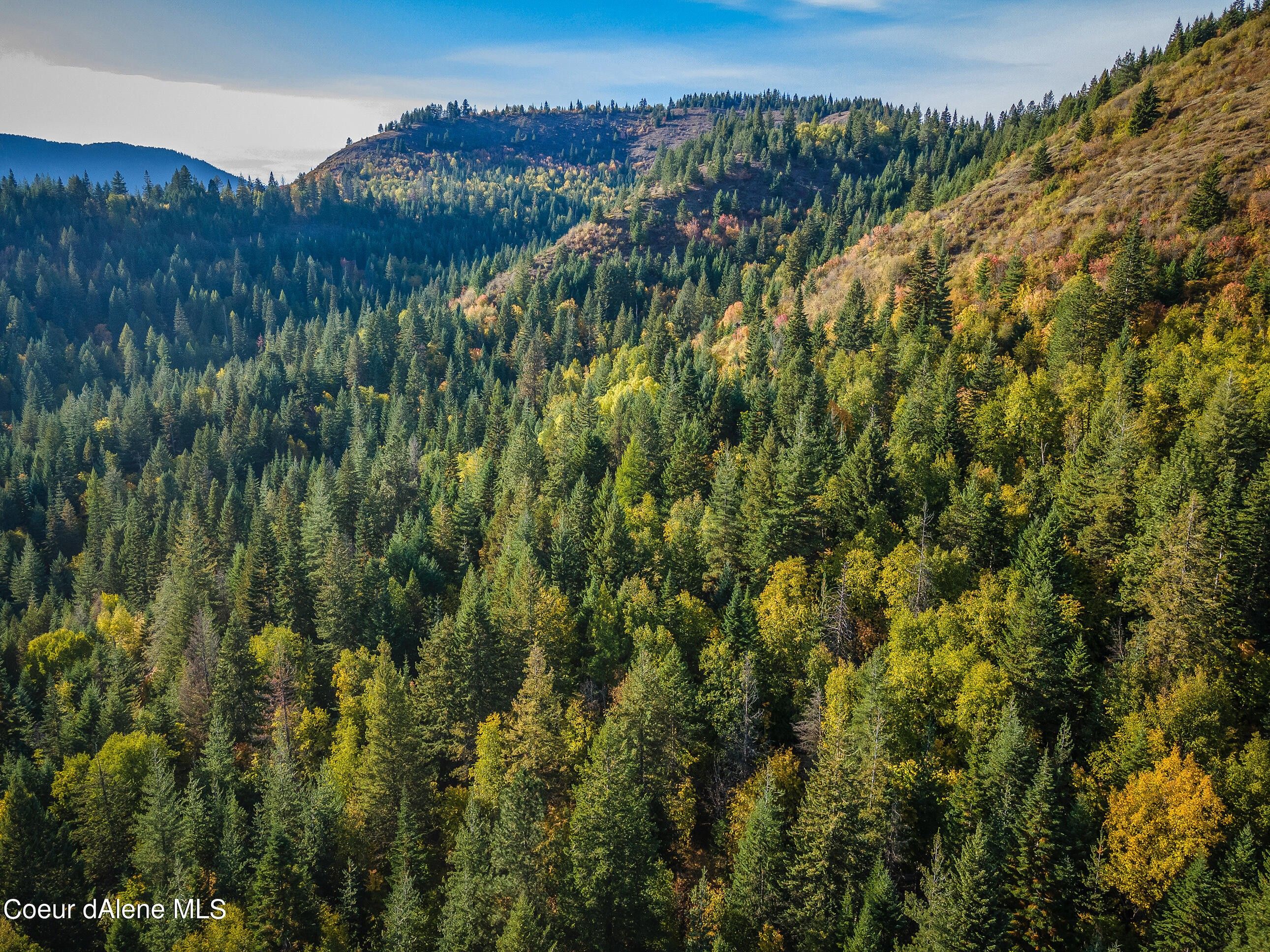 Priest River, Bonner County, ID Recreational Property, Undeveloped Land