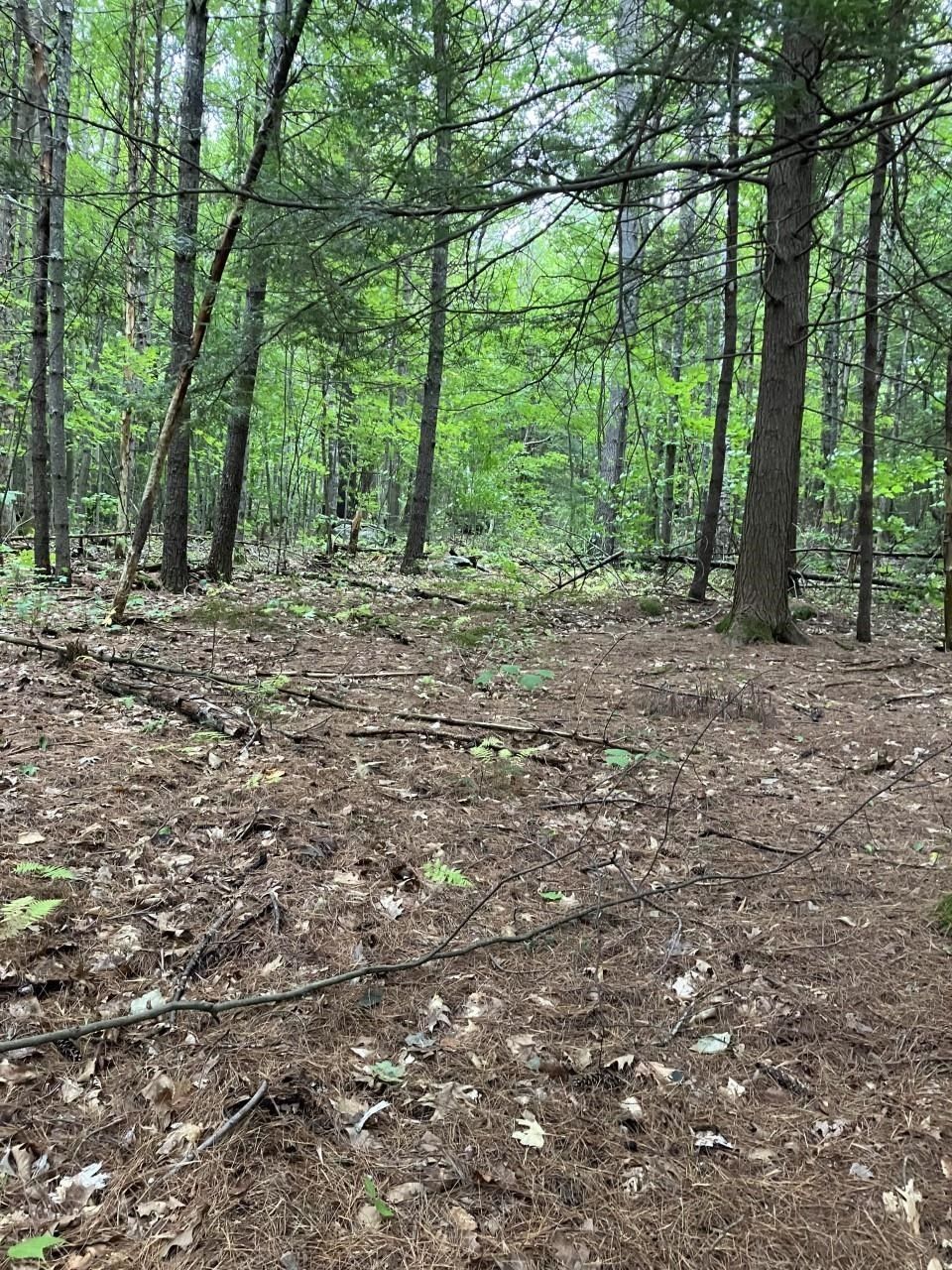 Sutton, Merrimack County, NH Undeveloped Land for sale Property ID