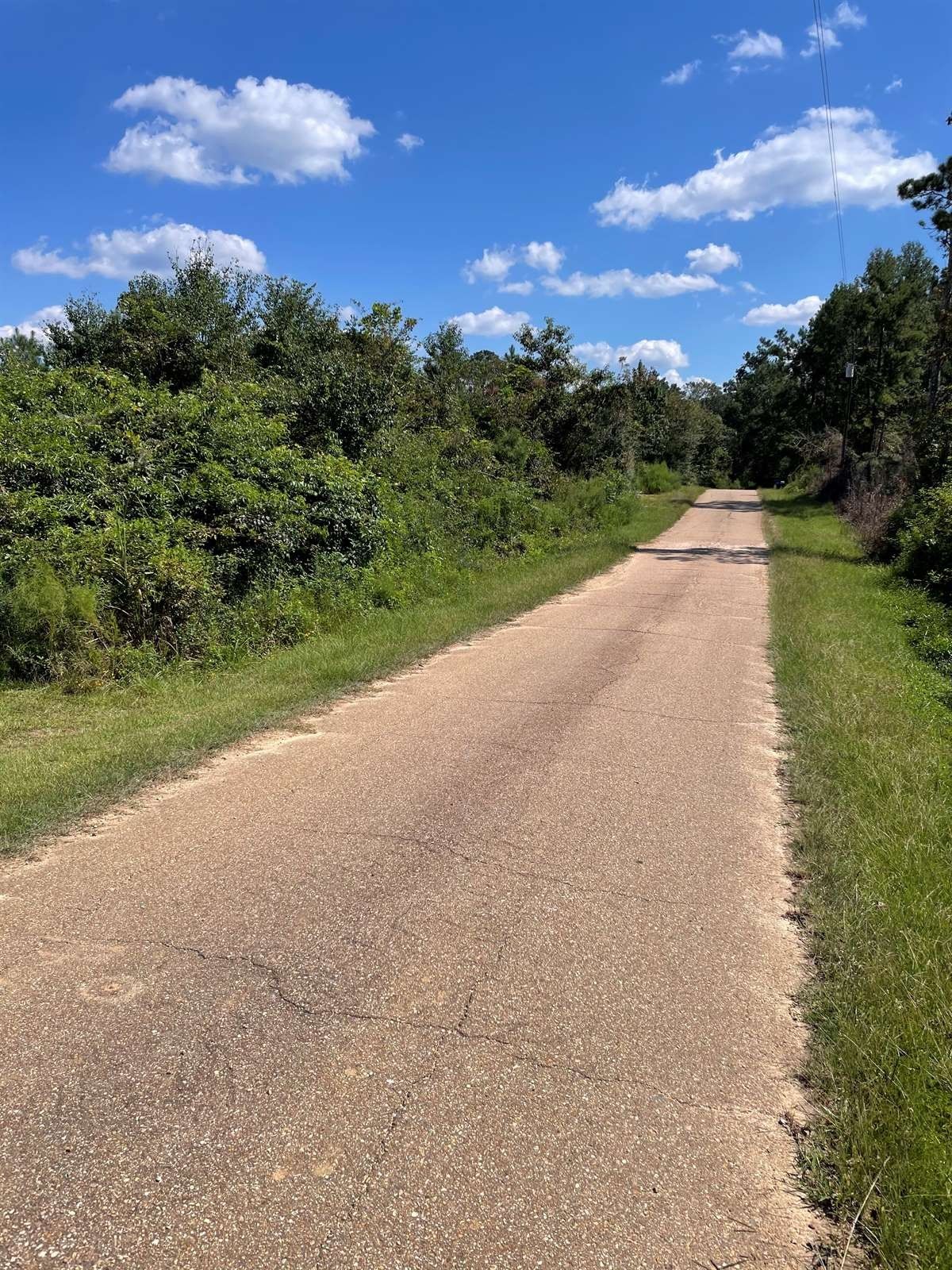Pine Grove, Saint Helena Parish, LA Undeveloped Land for sale Property ID 415065586 LandWatch