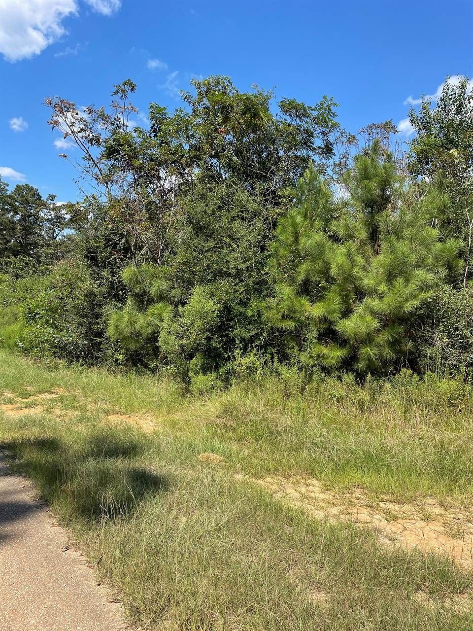 Pine Grove, Saint Helena Parish, LA Undeveloped Land for sale Property ID 415065586 LandWatch