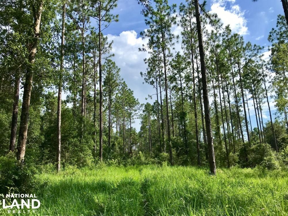 Theodore, Mobile County, AL Recreational Property, Hunting Property