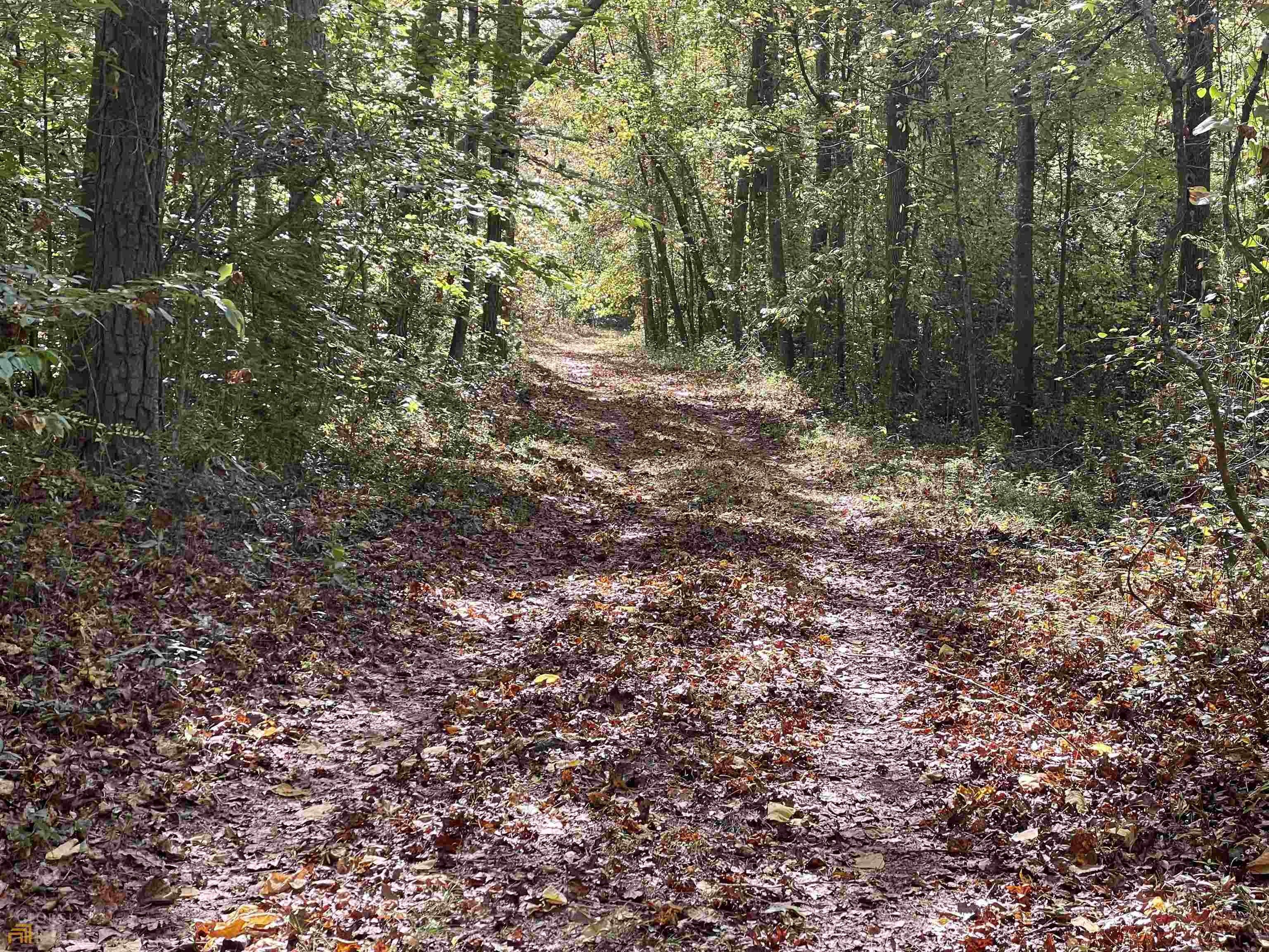 Lavonia, Hart County, GA Undeveloped Land for sale Property ID