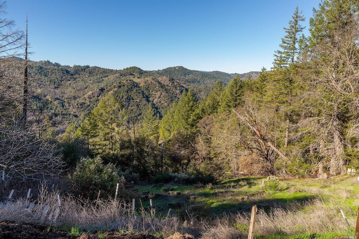 Willits, Mendocino County, CA House for sale Property ID 415063204 LandWatch