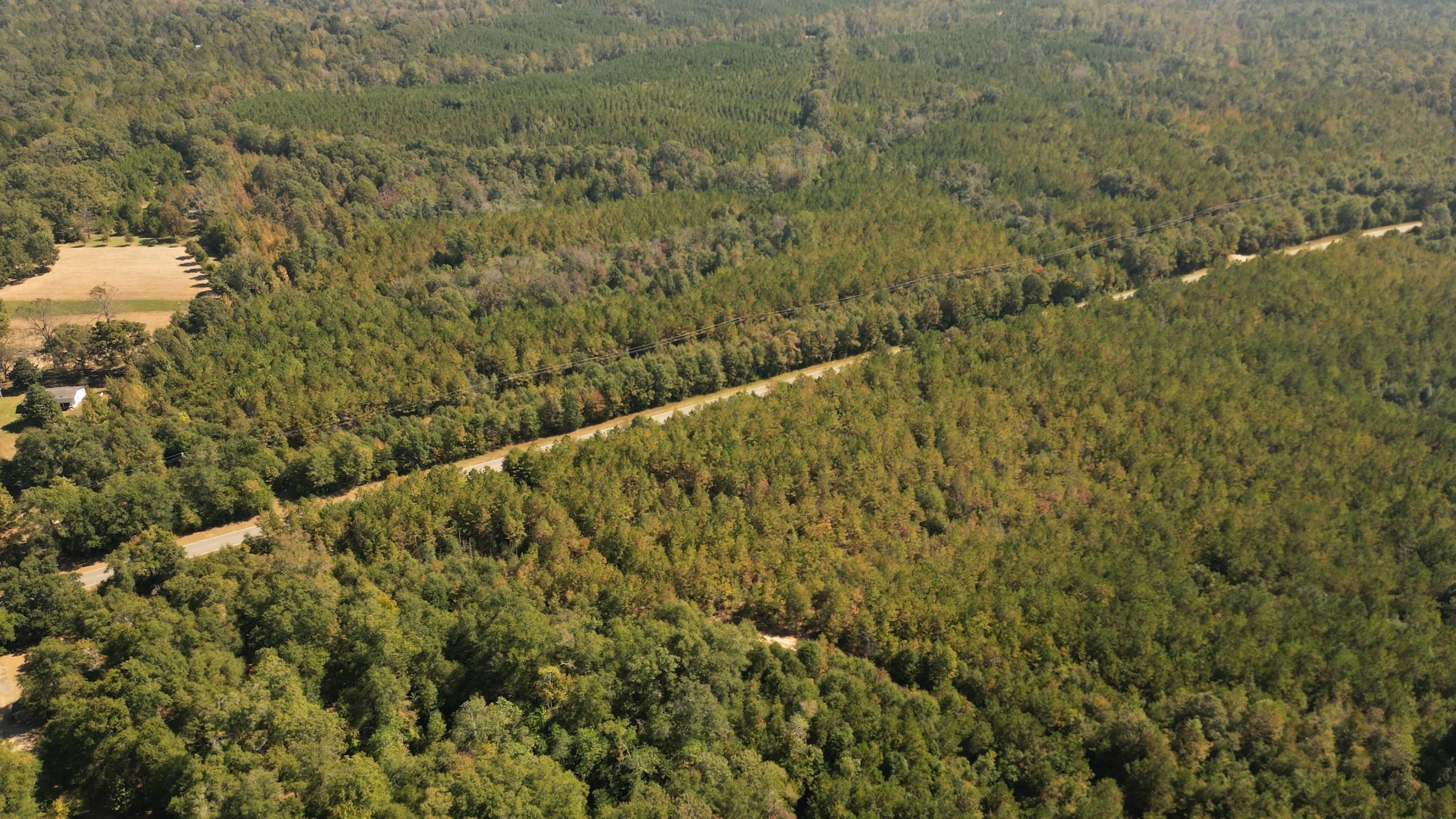 Gilbertown, Choctaw County, AL Recreational Property, Timberland