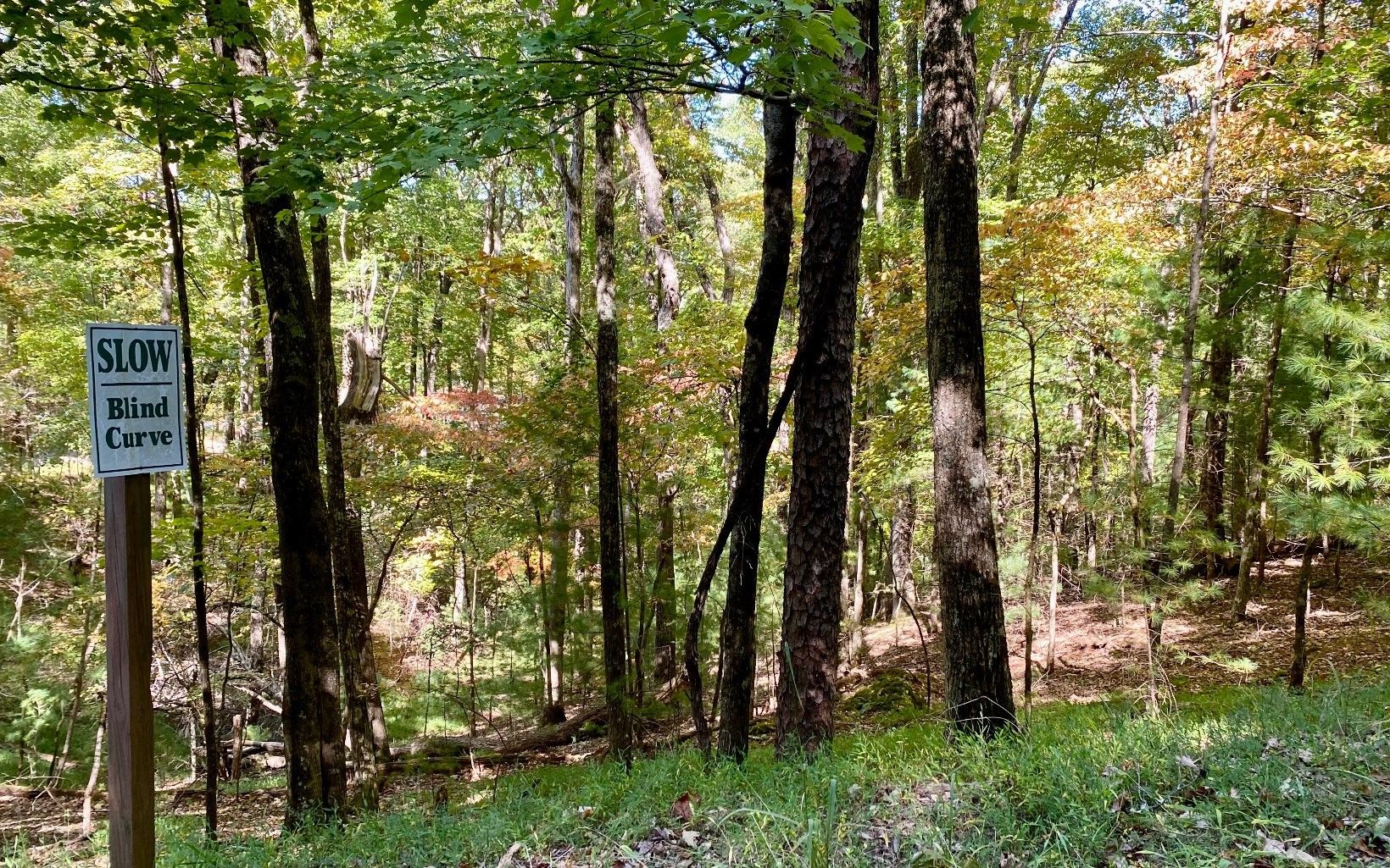 Ellijay, Gilmer County, GA Homesites for sale Property ID 415070692