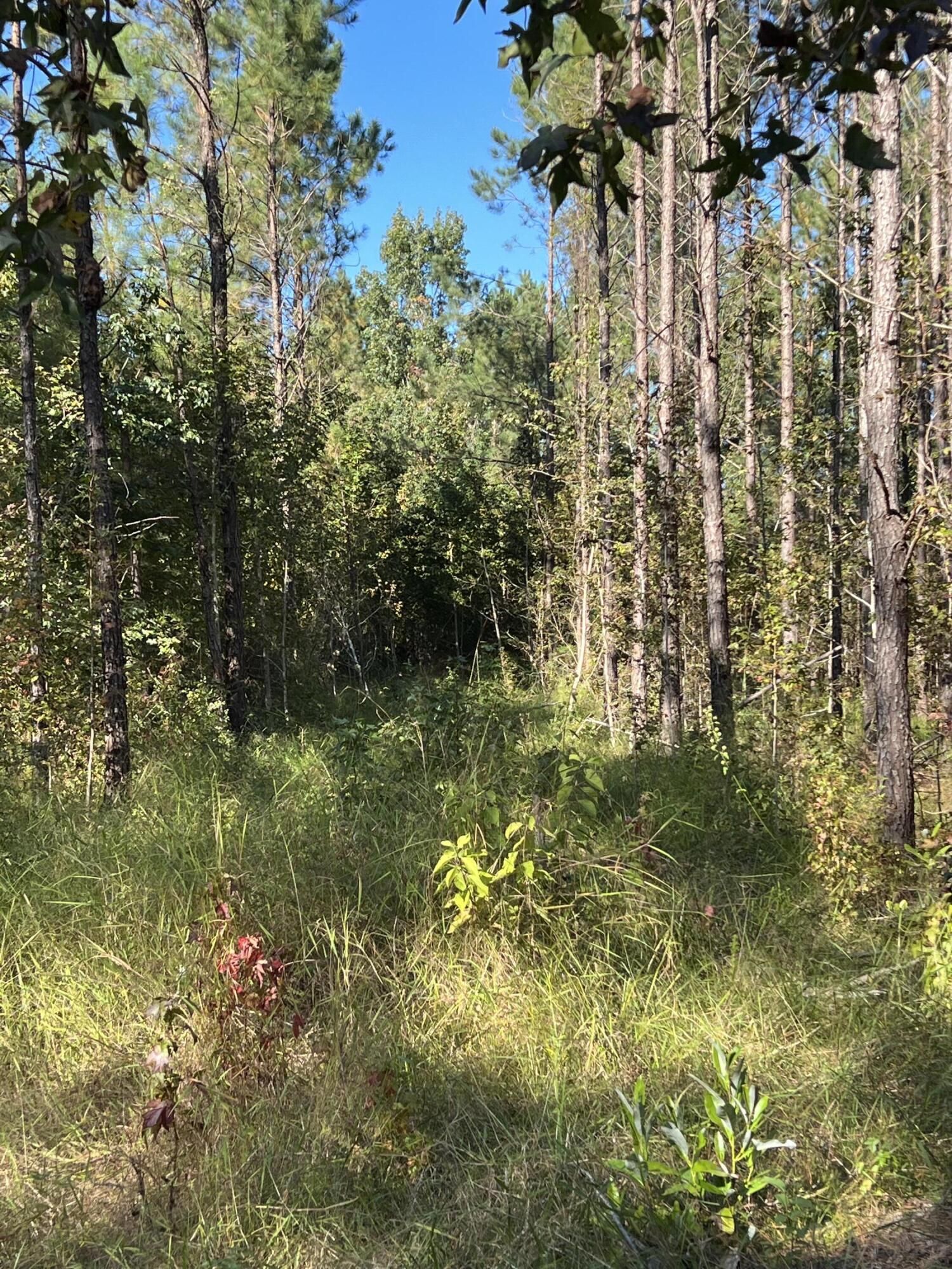 Laurel Hill, Okaloosa County, FL Undeveloped Land for sale Property ID