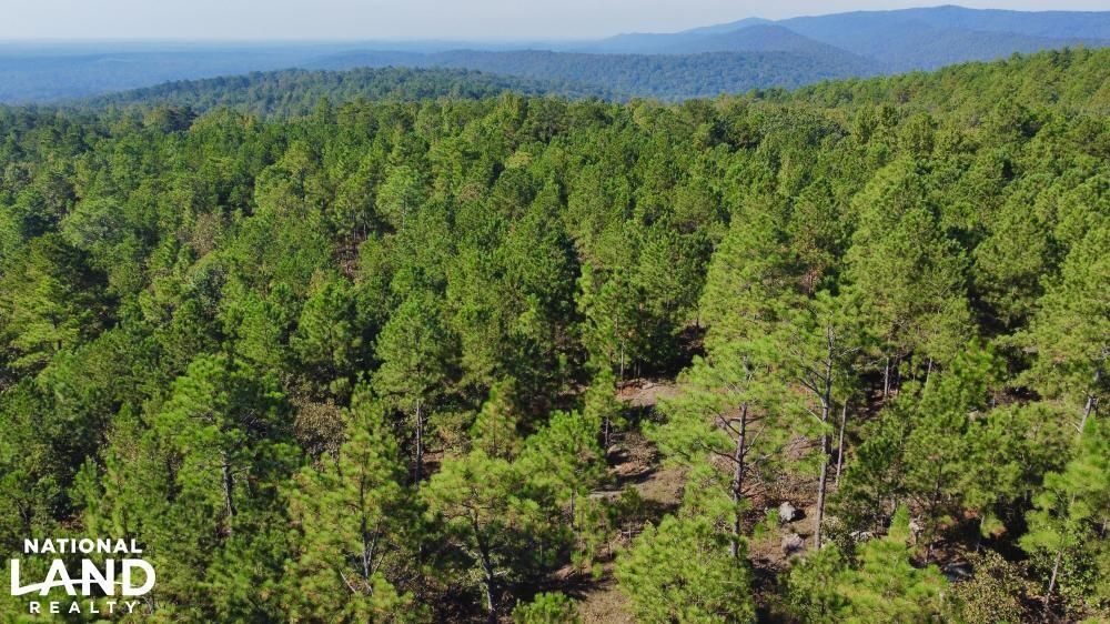 Sterrett, Shelby County, AL Recreational Property, Undeveloped Land for