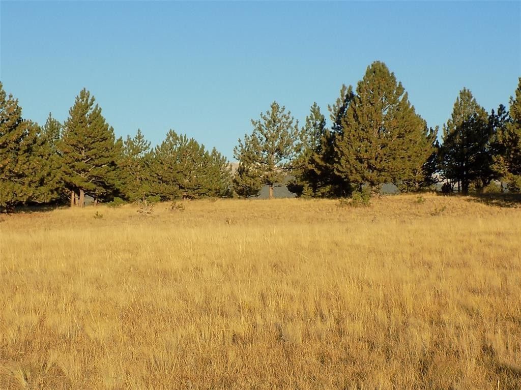 Fairplay, Park County, CO Undeveloped Land for sale Property ID