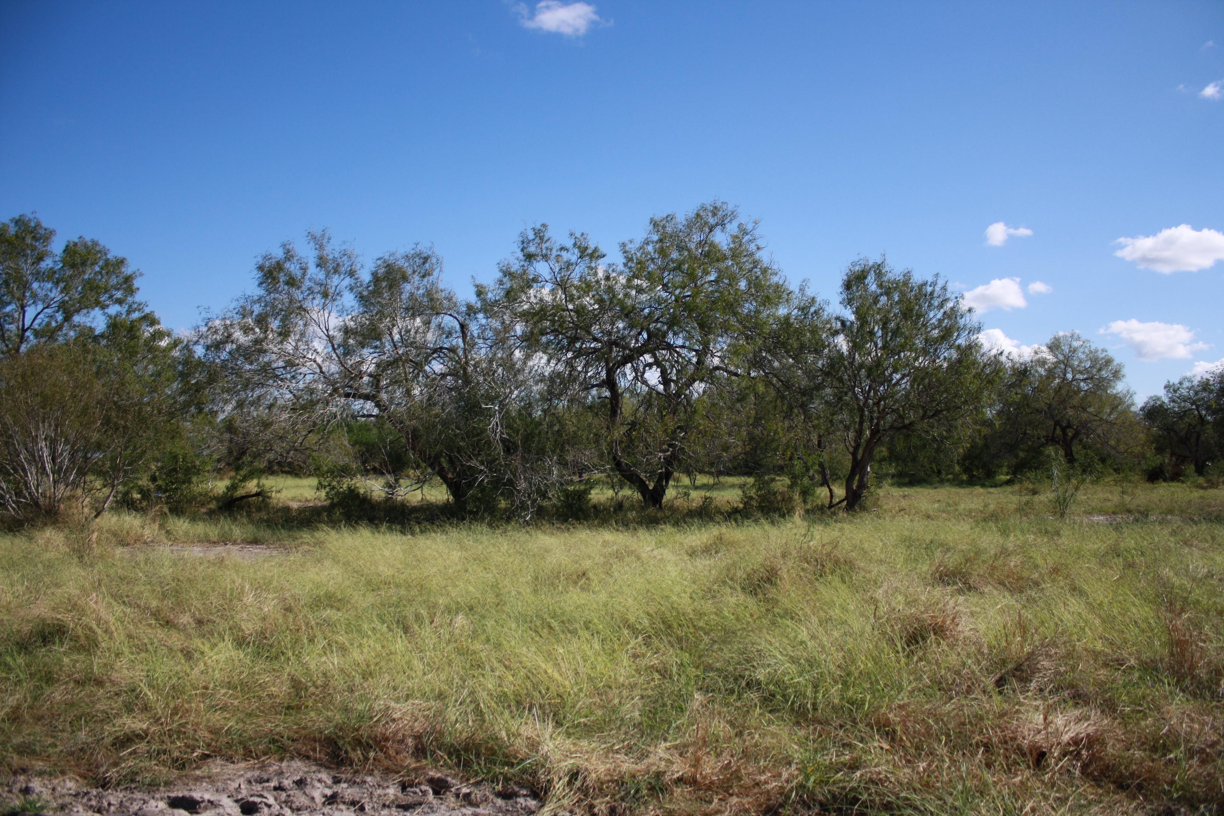 14135 County Road 1144, Sinton, TX 78387 MLS 407280 LandWatch