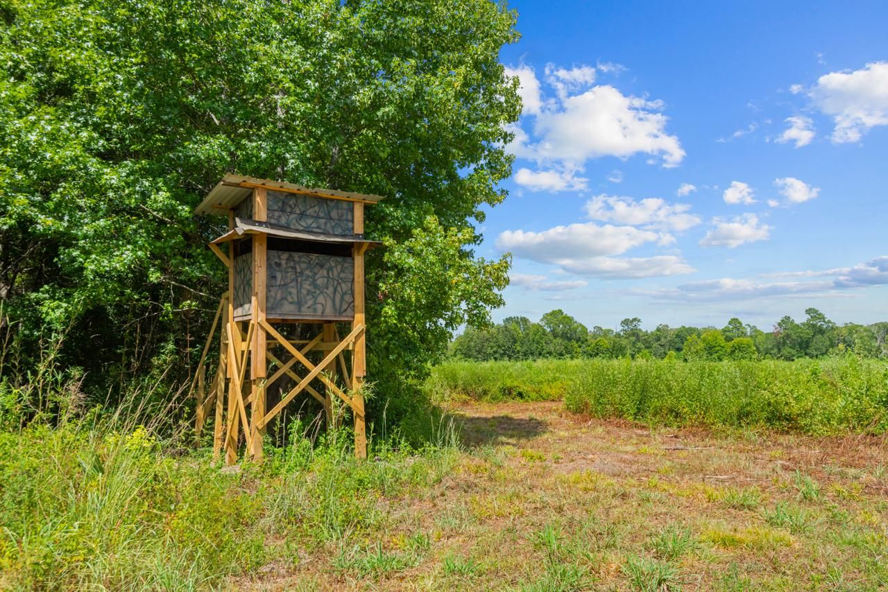 Zavalla, Angelina County, TX Recreational Property, Undeveloped Land