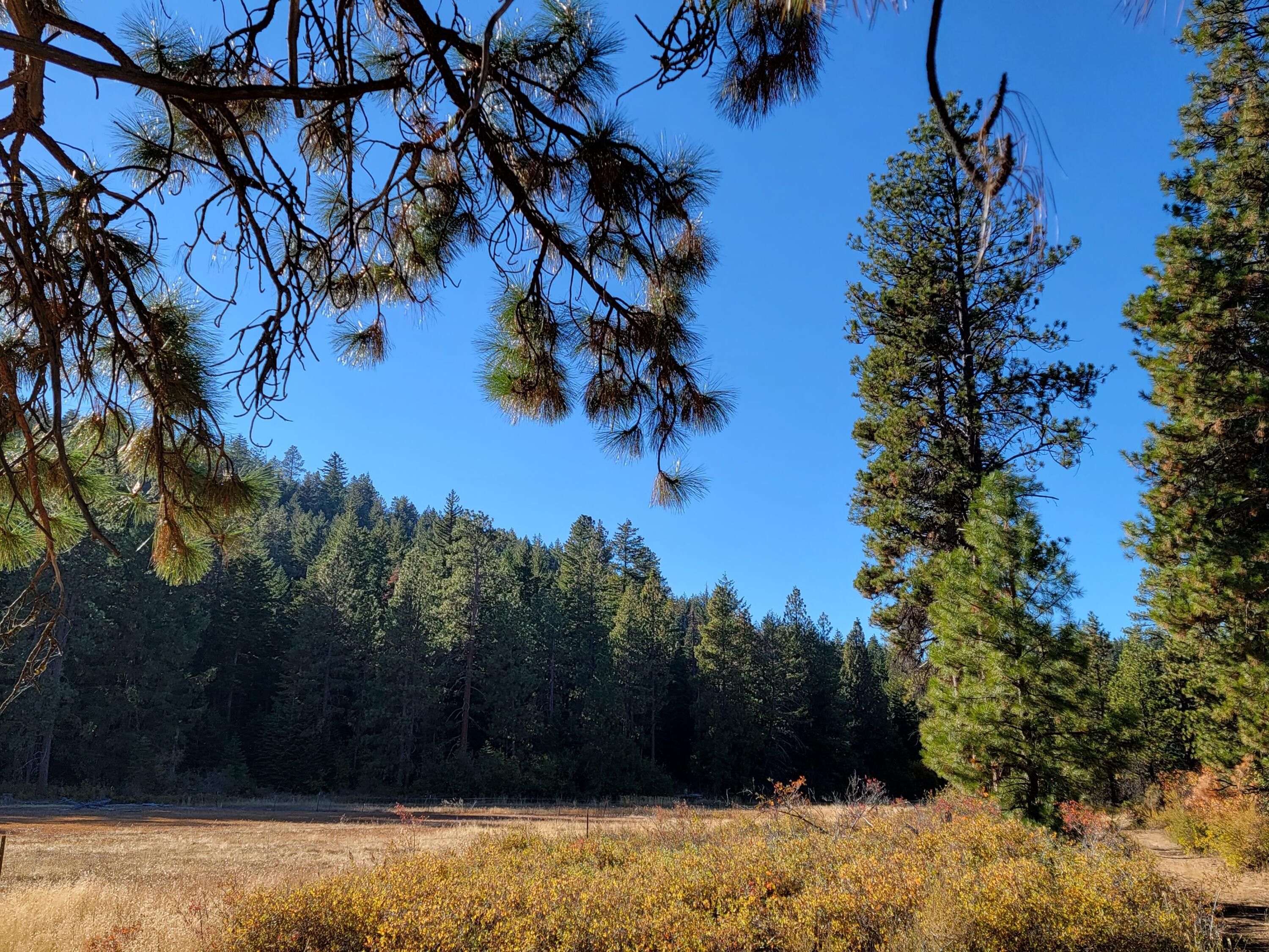 Klamath Falls, Klamath County, OR Farms and Ranches for sale Property