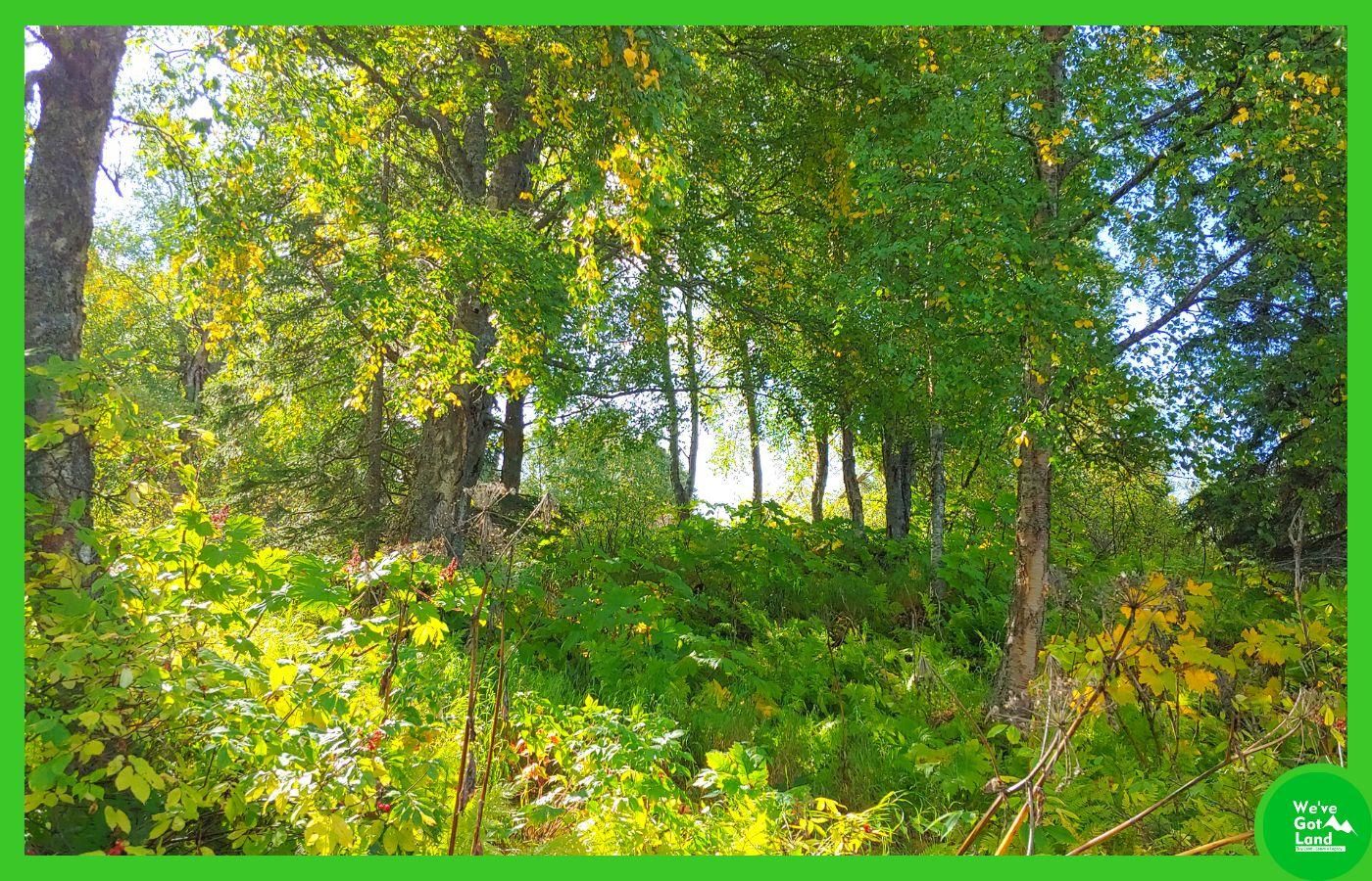 Nikiski, Kenai Peninsula Borough, AK Recreational Property, Undeveloped